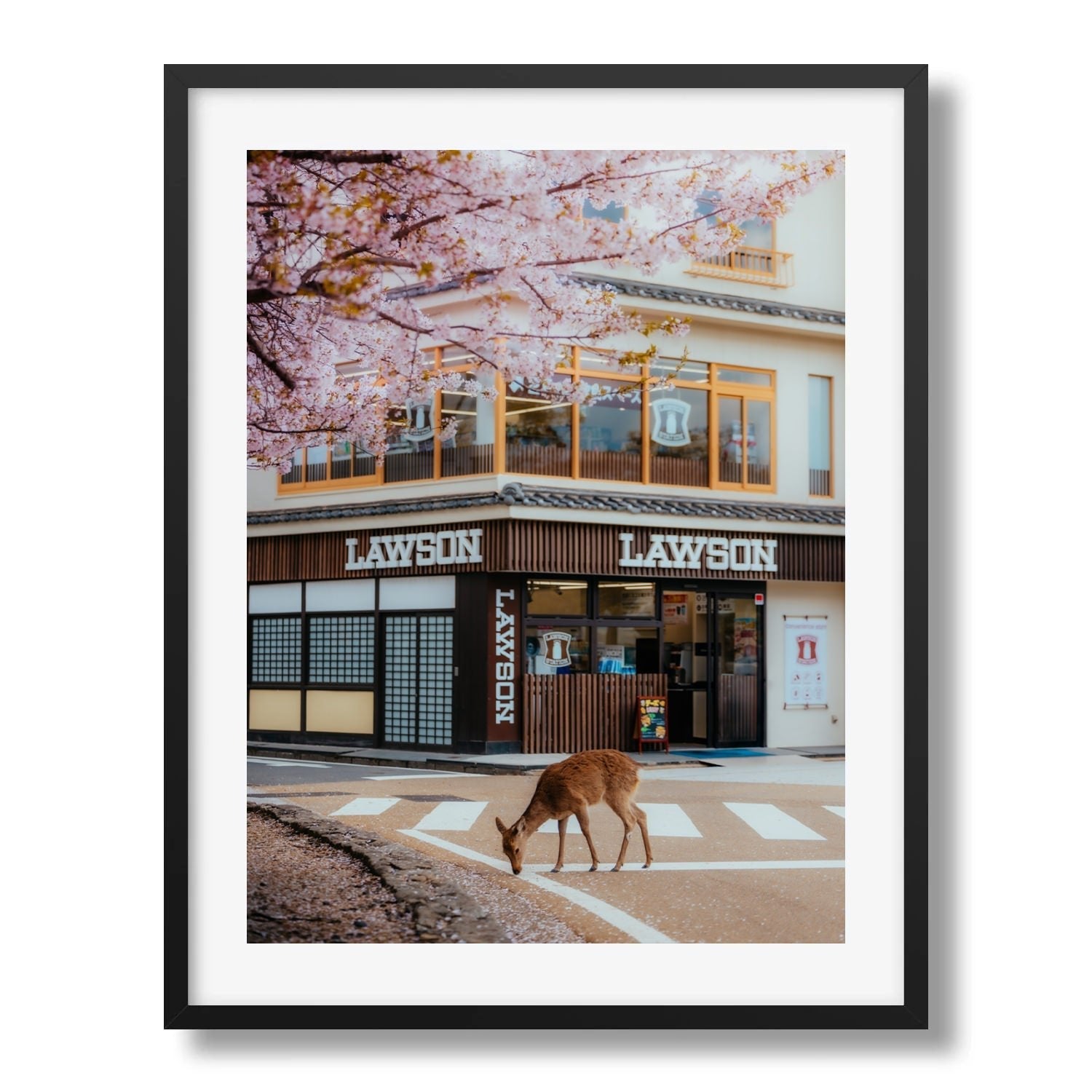A Deer Under the Cherry Blossoms at Lawson Miyajima Framed Print - Animals by Peter Yan Studio