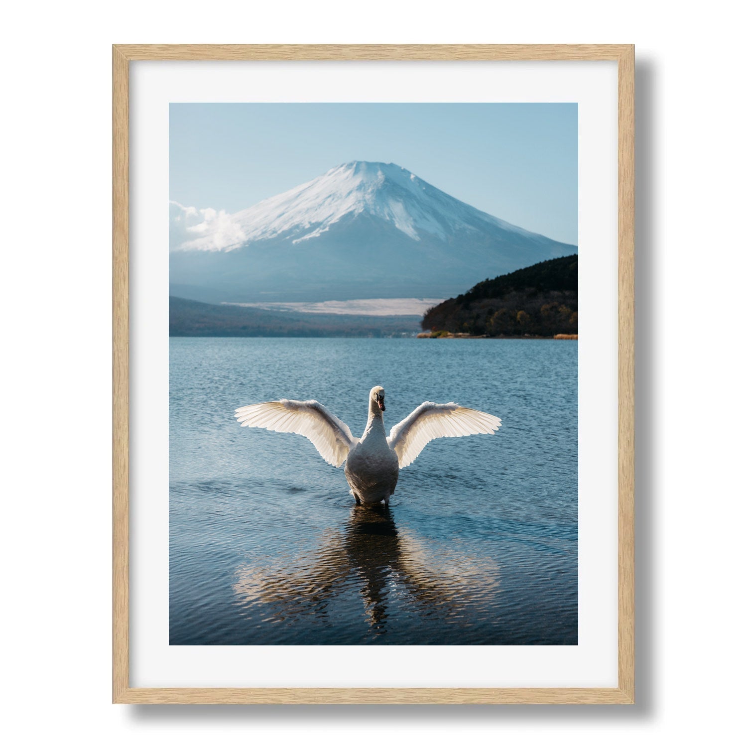 A Swan's Dance by Mt Fuji - Peter Yan Studio Framed Photo Print Wall Art