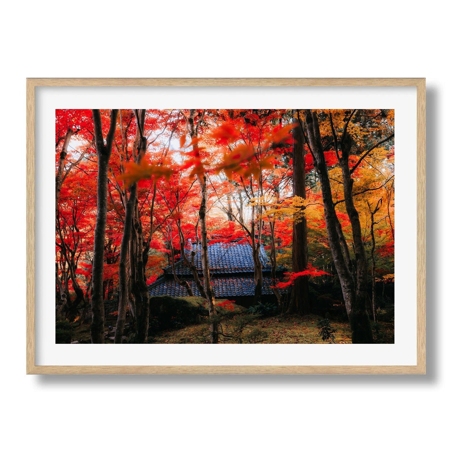 Autumn’s Red Glow in a Japanese Garden III - Peter Yan Studio Framed Photo Print Wall Art