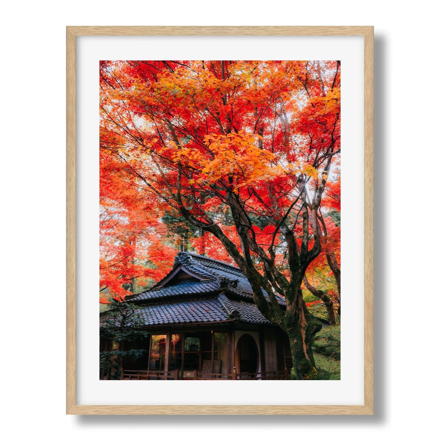 Autumn’s Red Glow in a Japanese Garden V - Peter Yan Studio Framed Photo Print Wall Art
