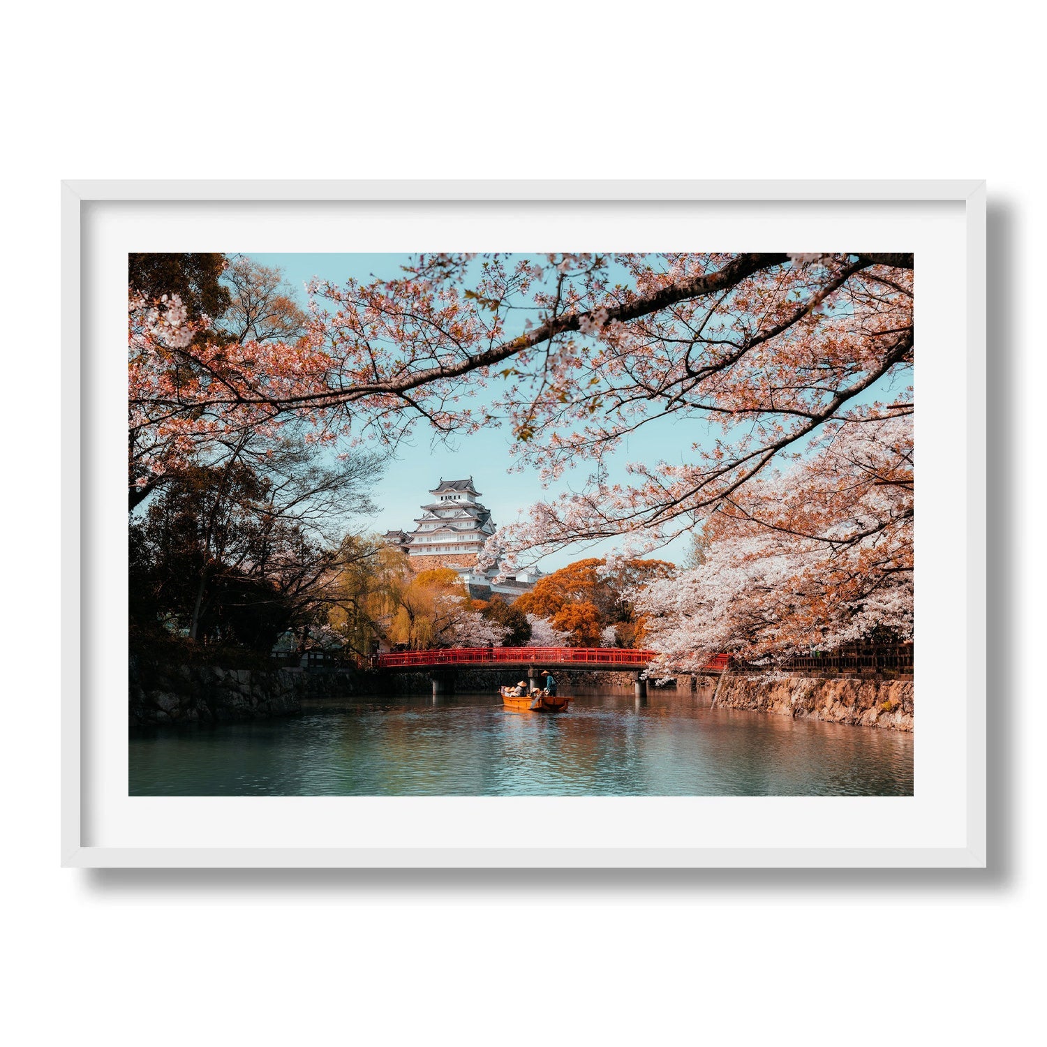 Himeji Castle Sakura - Peter Yan Studio