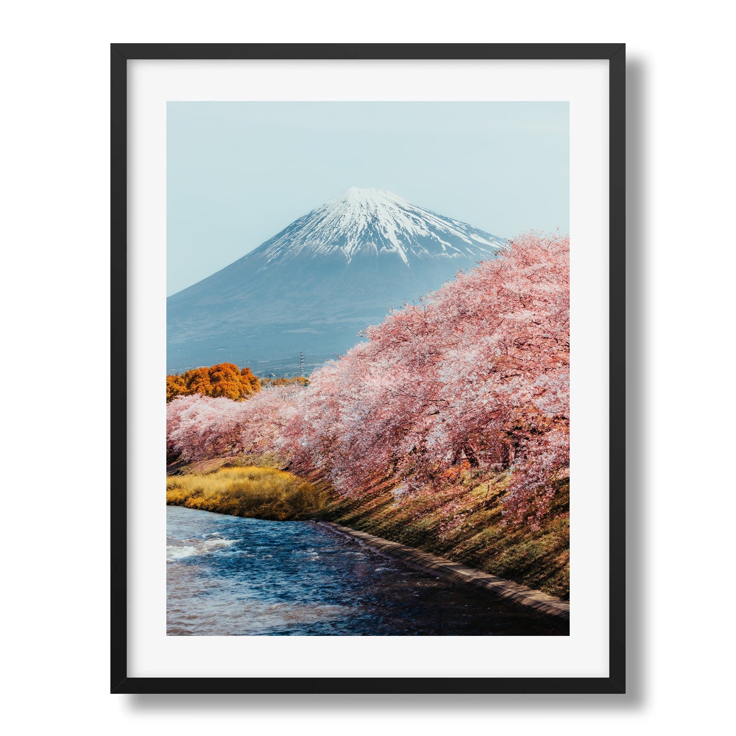 Mt Fuji Sakura II Framed Print - Flowers by Peter Yan Studio