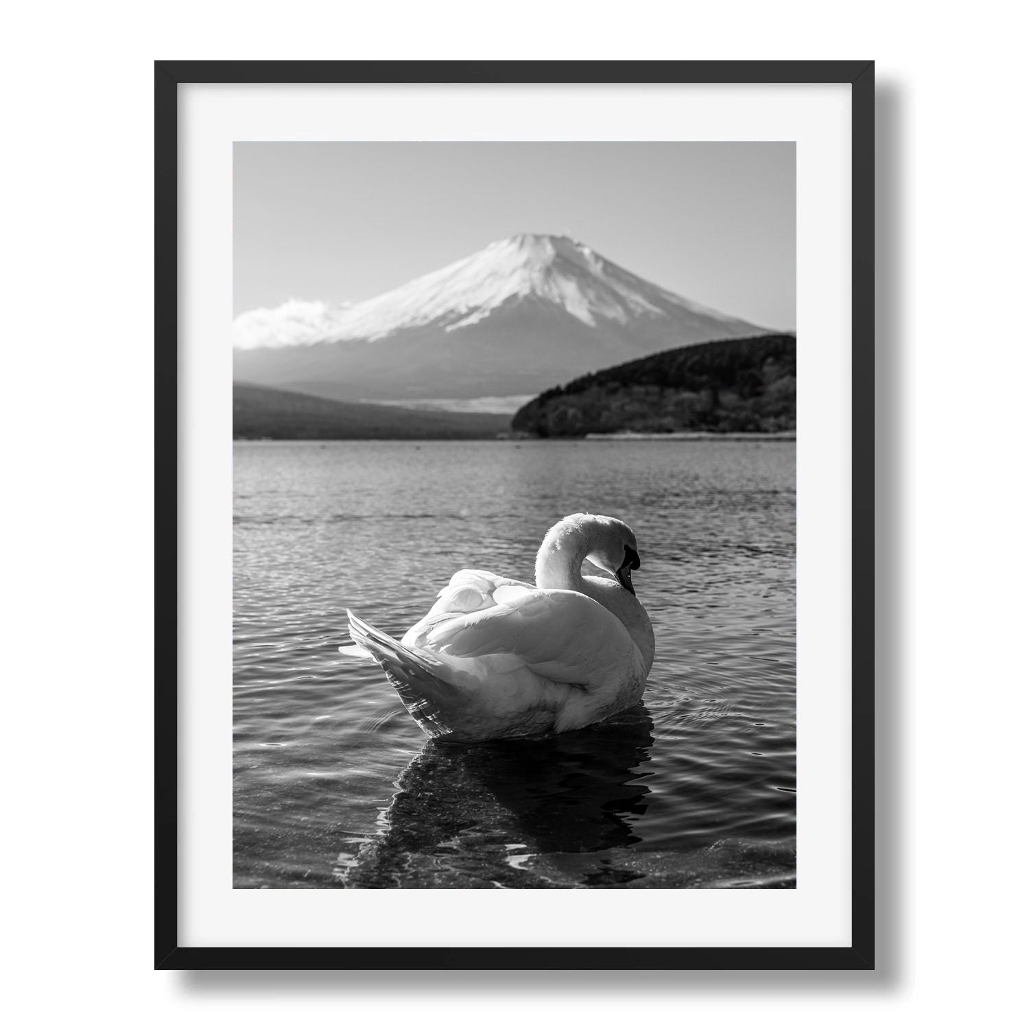 Swan Resting at Mt Fuji in Black and White II - Peter Yan Studio Framed Photo Print Wall Art