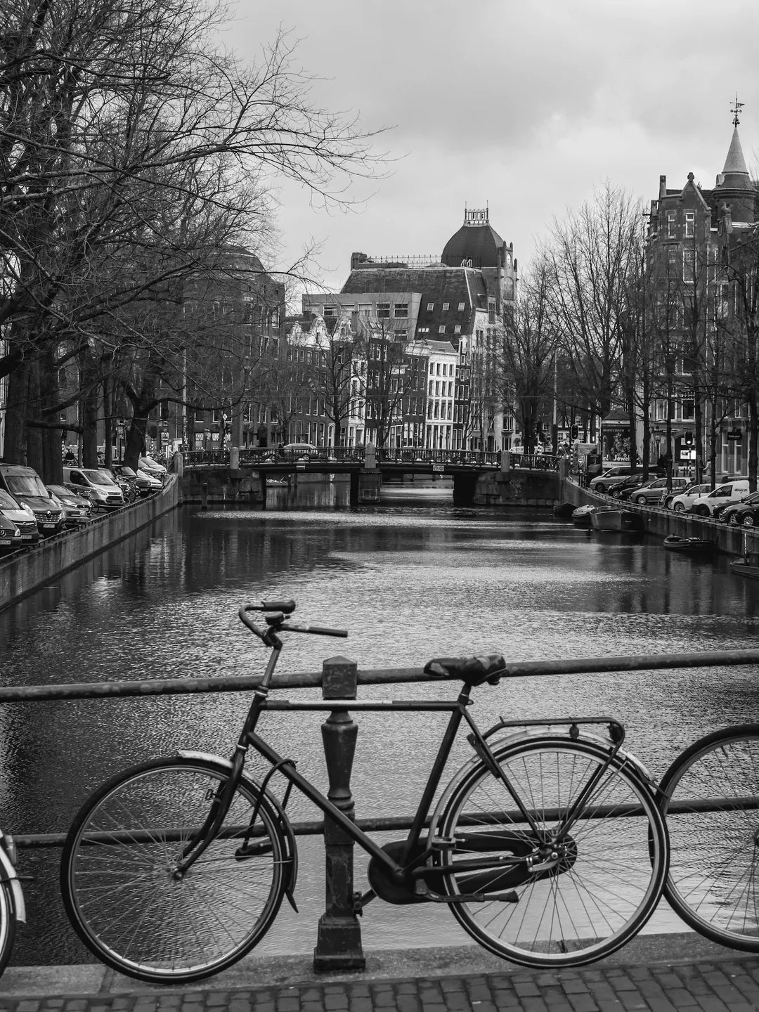 Amsterdam Bicycle - Peter Yan Studio