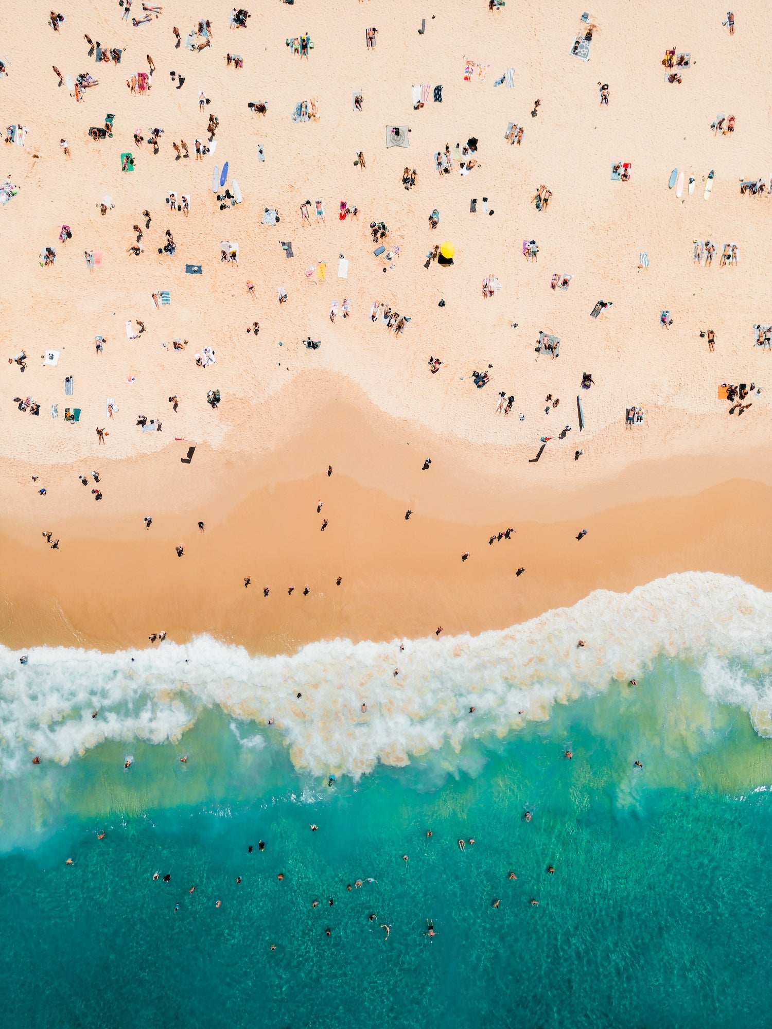 Bondi Beach Summer Day I - Peter Yan Studio