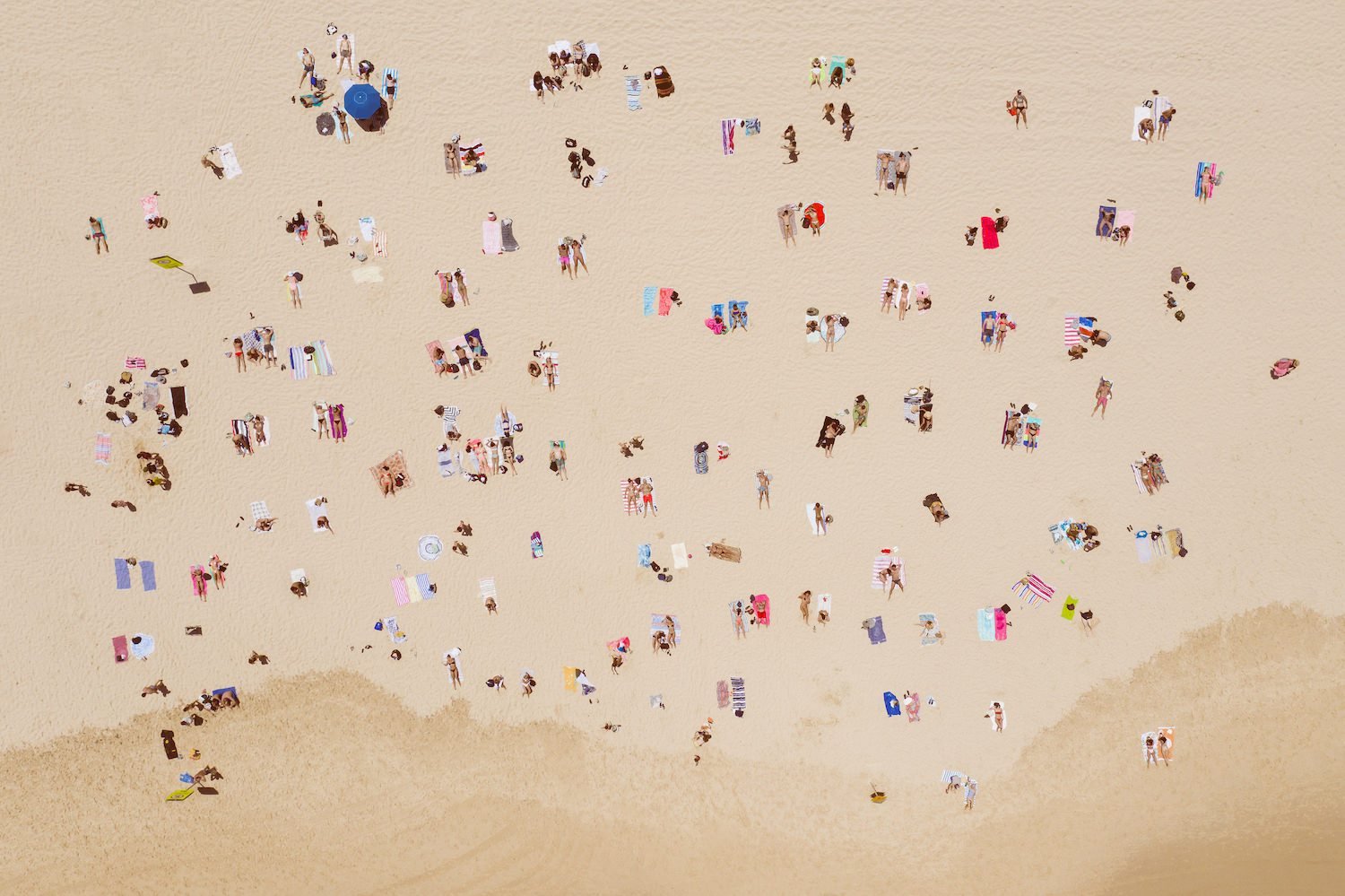 Bondi Beach Sunbathing | Premium Framed Print - Peter Yan Studio