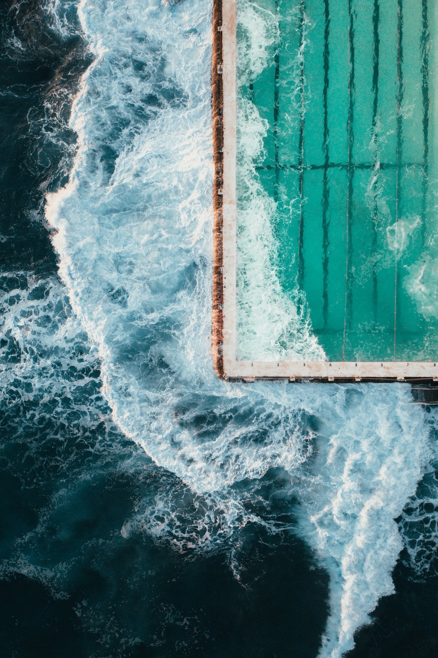 Bondi Icebergs Pool From Above FP1 | Premium Framed Print - Peter Yan Studio