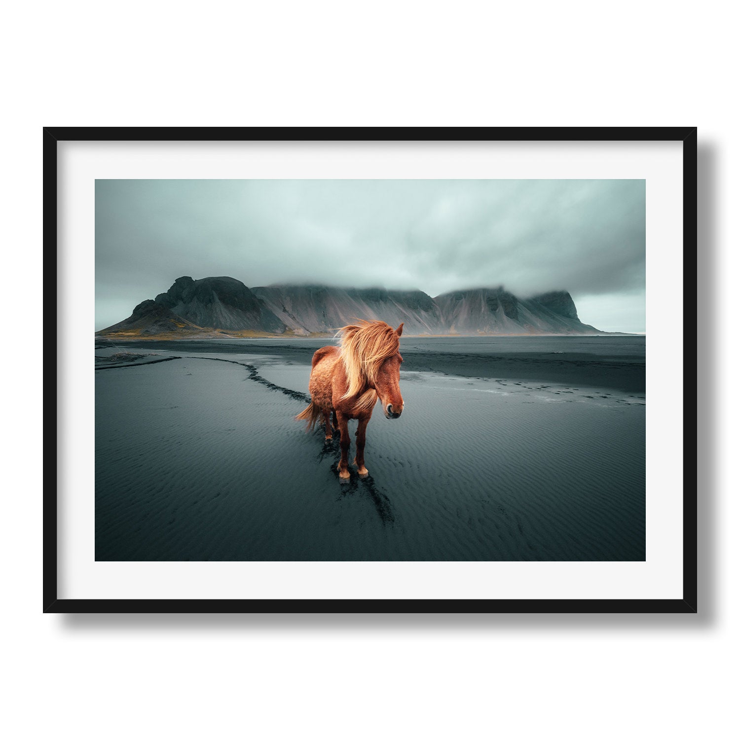 Icelandic Horse II - Peter Yan Studio