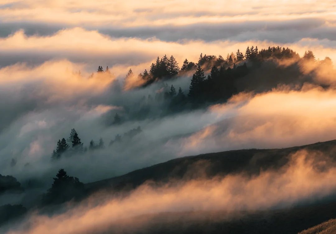 Mt Tamalpais Sunset Fog - Peter Yan Studio