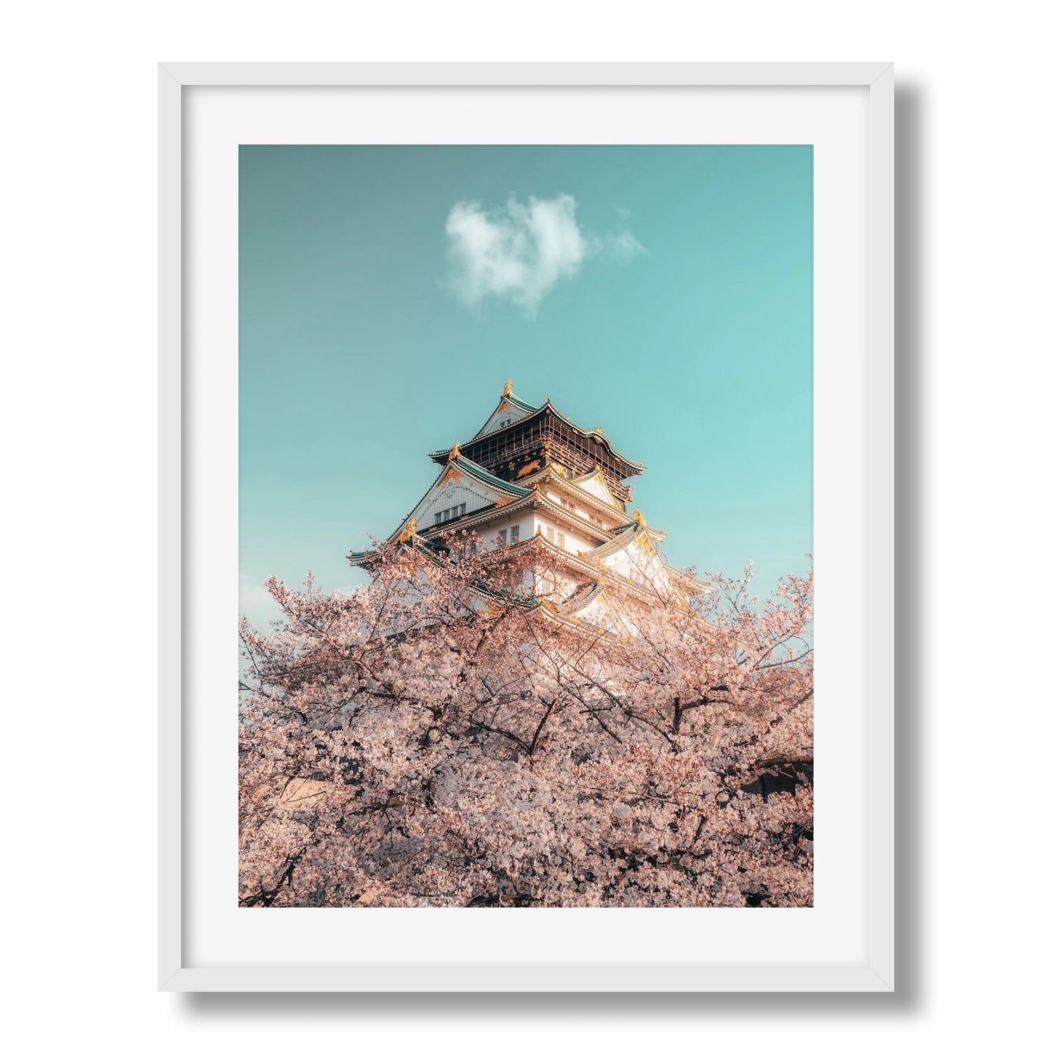 Osaka Castle Cherry Blossoms - Peter Yan Studio