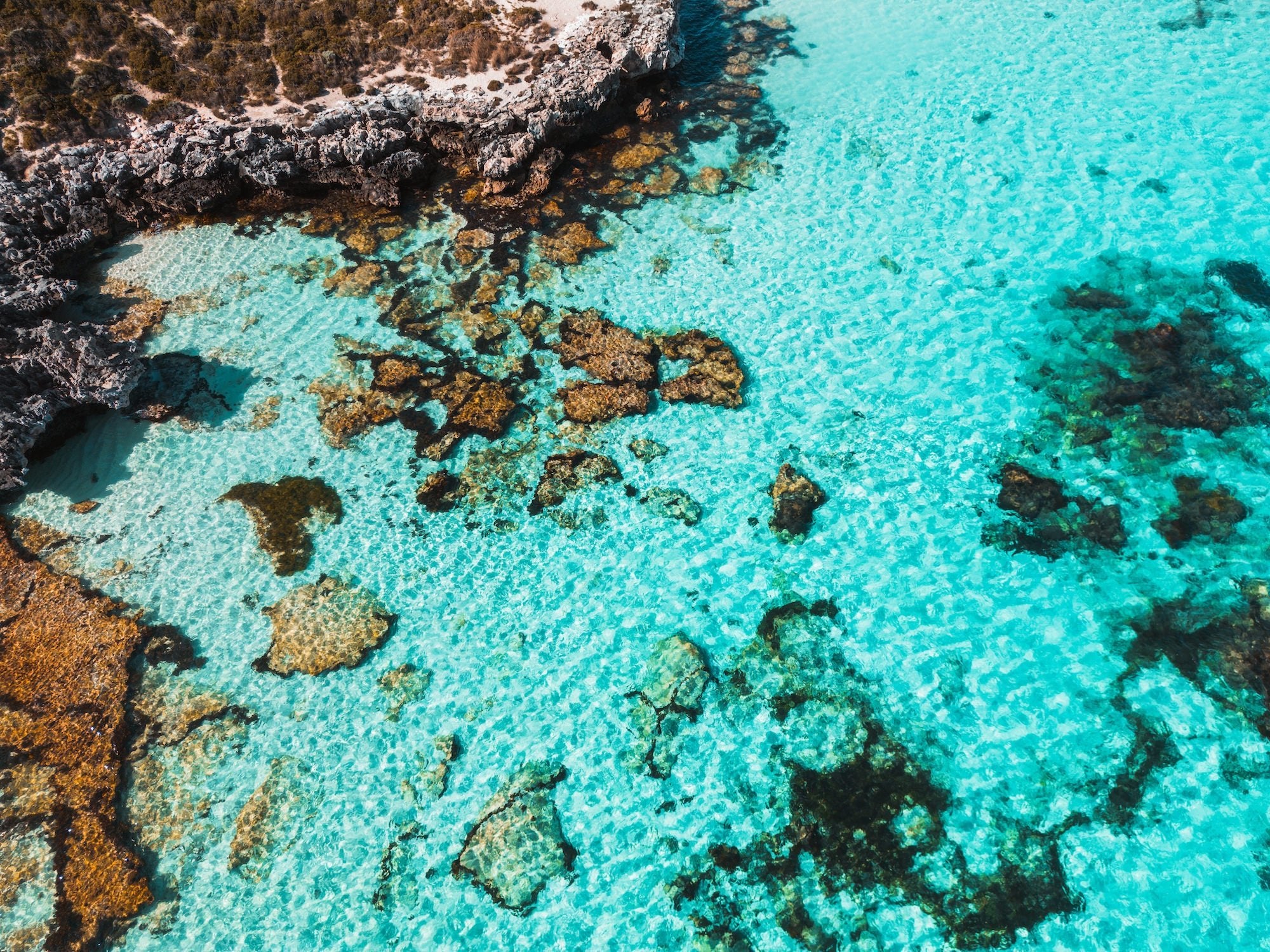 Salmon Bay, Rottnest Island, Western Australia IV - Peter Yan Studio