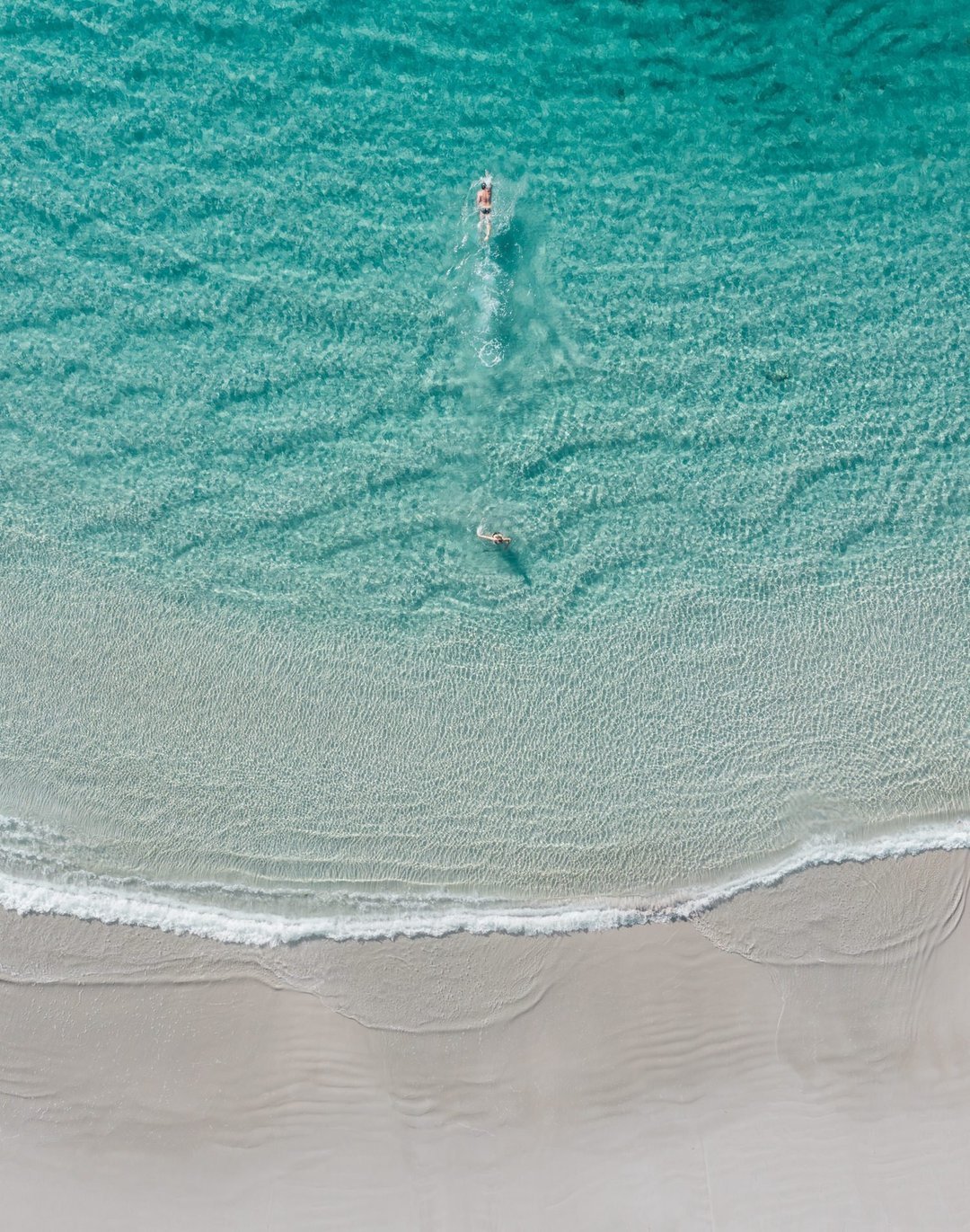 Swimming Away | Premium Framed Print - Peter Yan Studio