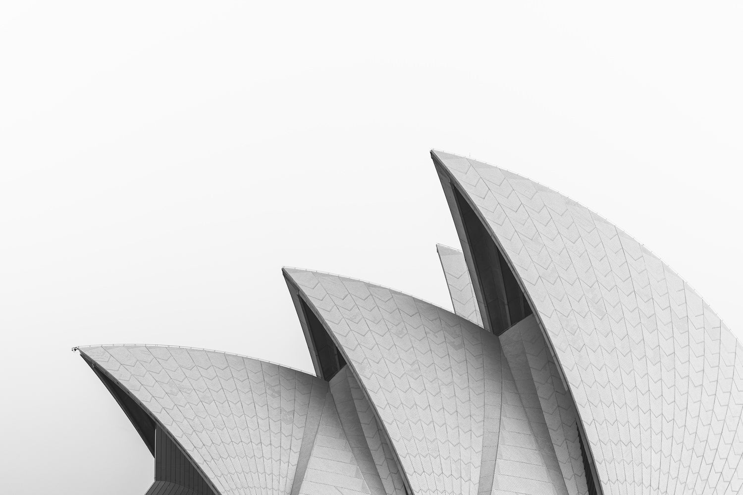 Sydney Opera House Close Up B&W | Premium Framed Print - Peter Yan Studio