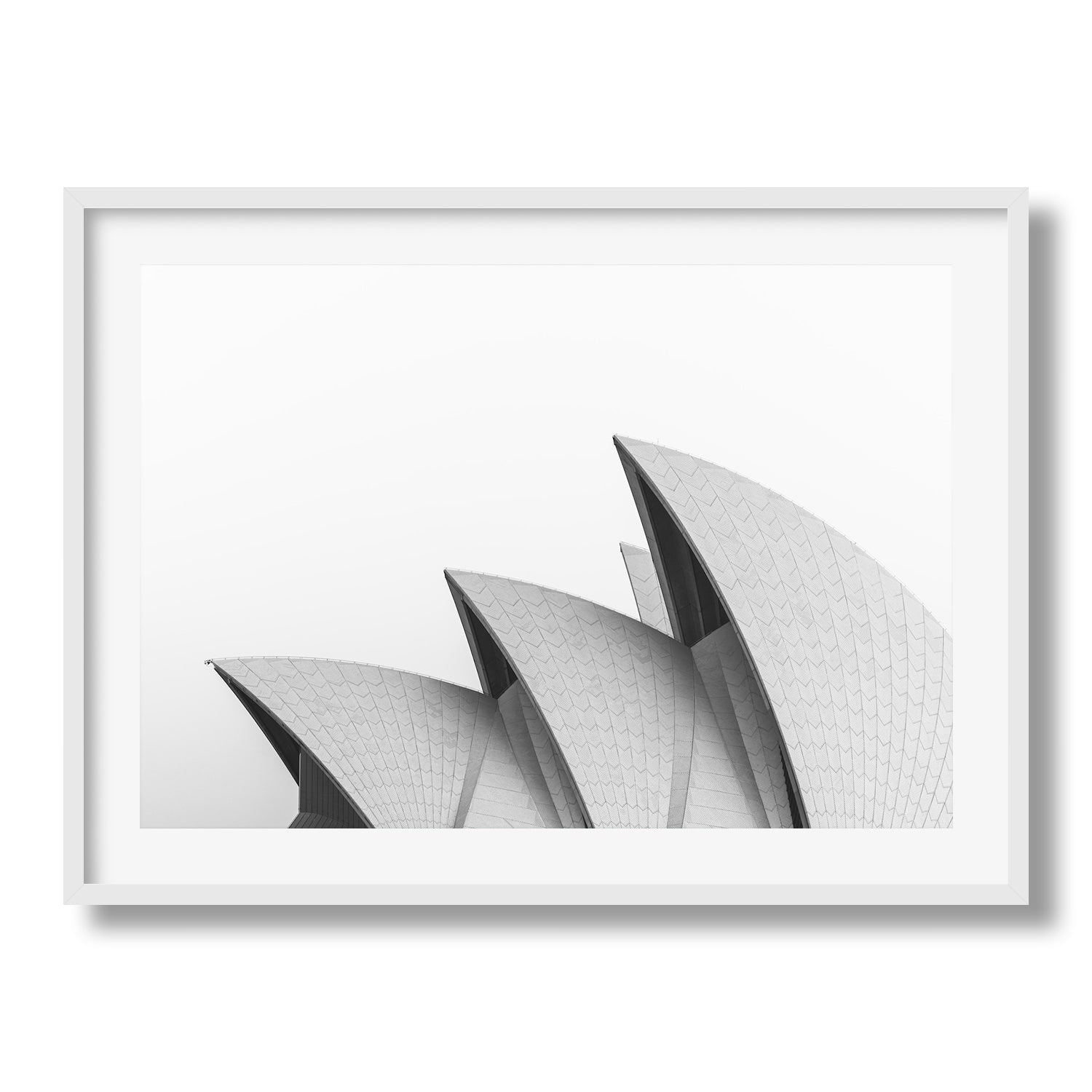 Sydney Opera House Close Up B&W | Premium Framed Print - Peter Yan Studio