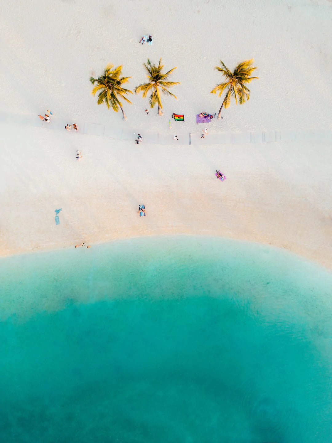Three Palm Trees - Peter Yan Studio