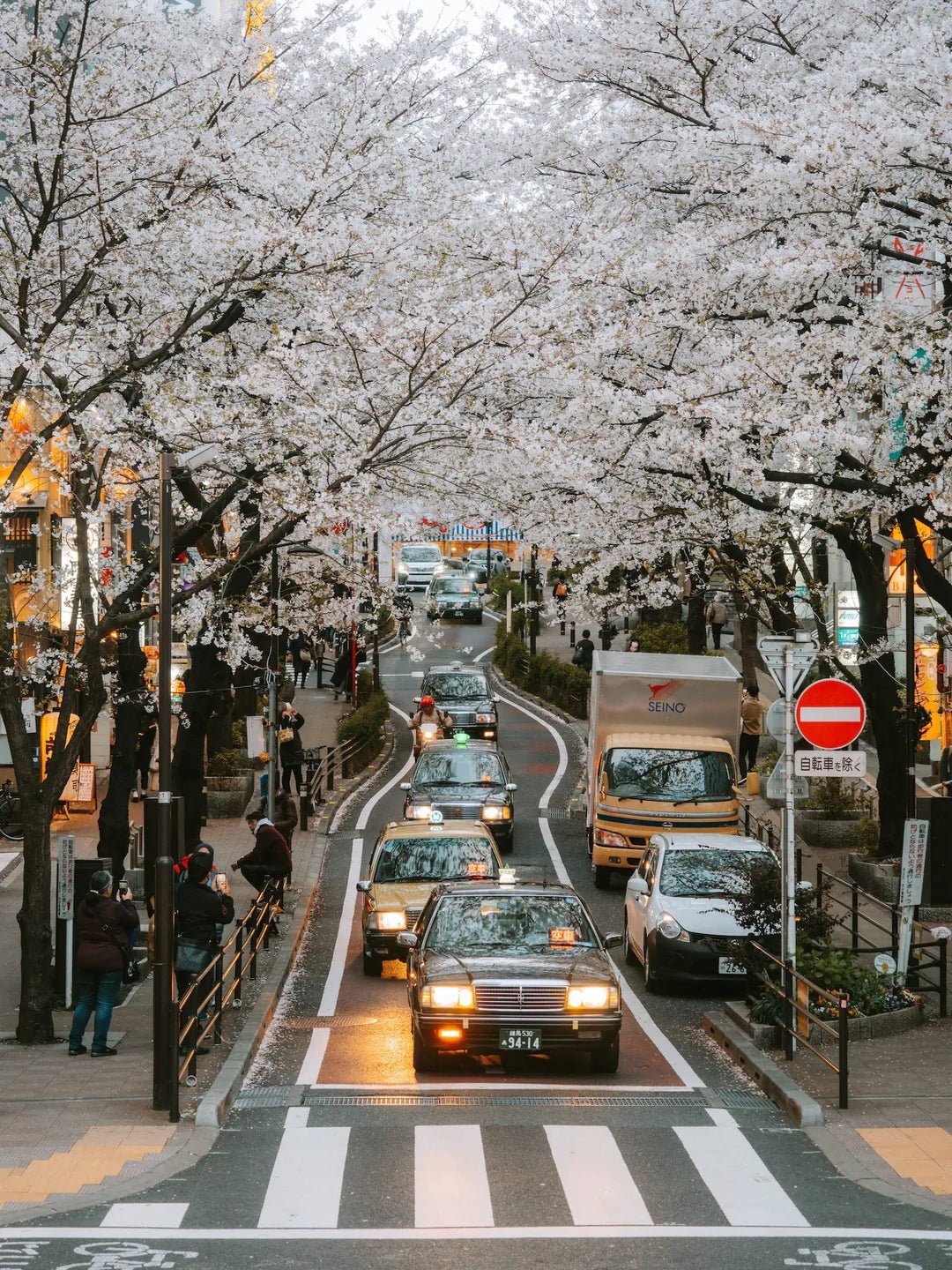 Tokyo Taxis Under The Cherry Blossoms - Peter Yan Studio