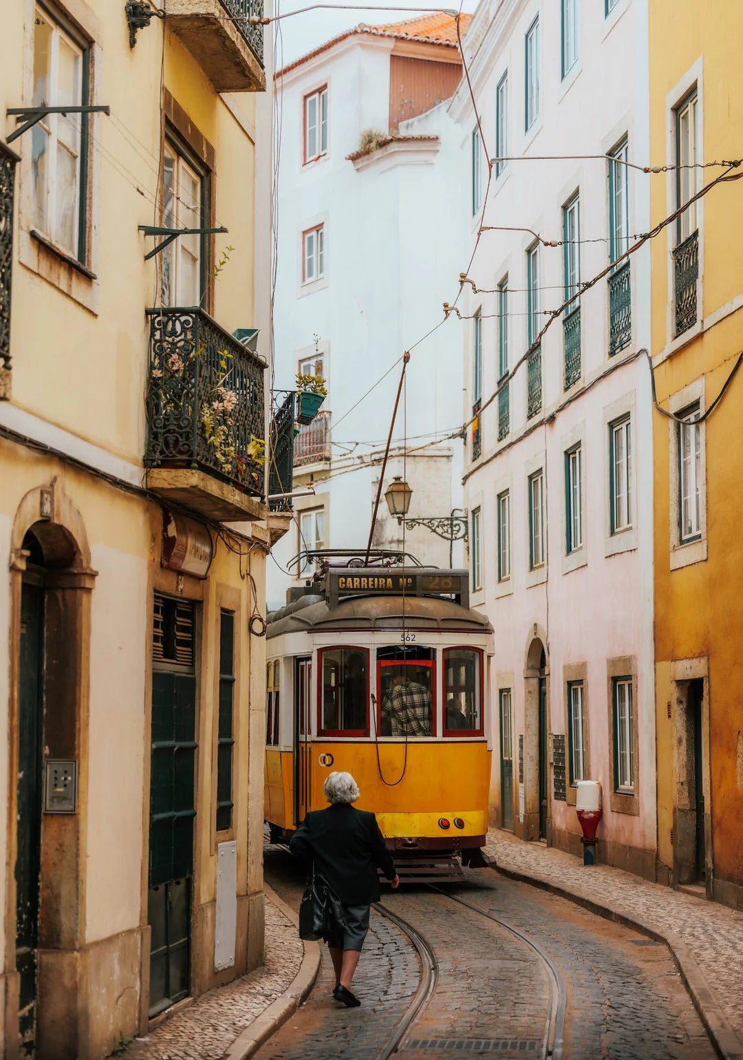 Trams Of Lisbon Series II - Peter Yan Studio