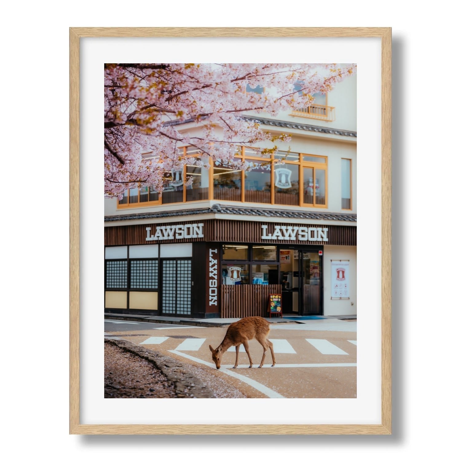 A Deer Under the Cherry Blossoms at Lawson Miyajima Framed Print - Animals by Peter Yan Studio
