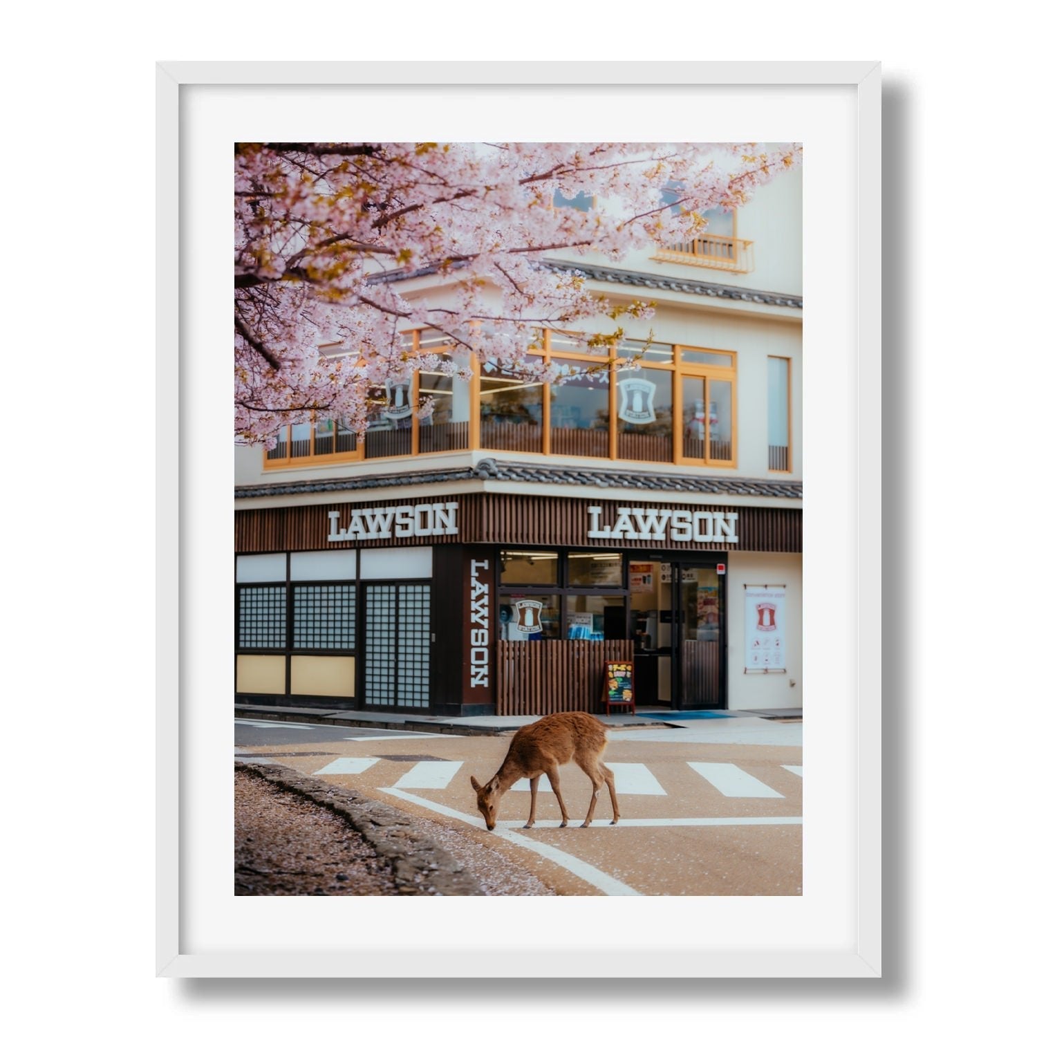 A Deer Under the Cherry Blossoms at Lawson Miyajima Framed Print - Animals by Peter Yan Studio