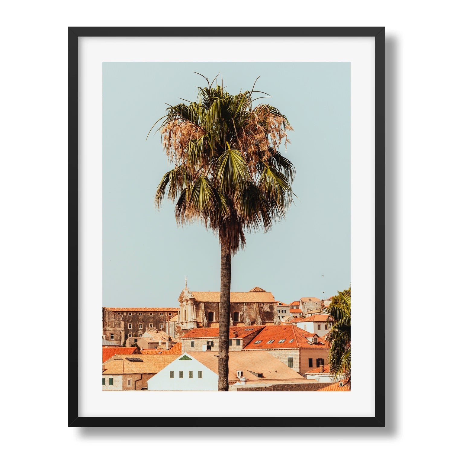 A Palm Tree in Croatia - Peter Yan Studio Framed Photo Print Wall Art