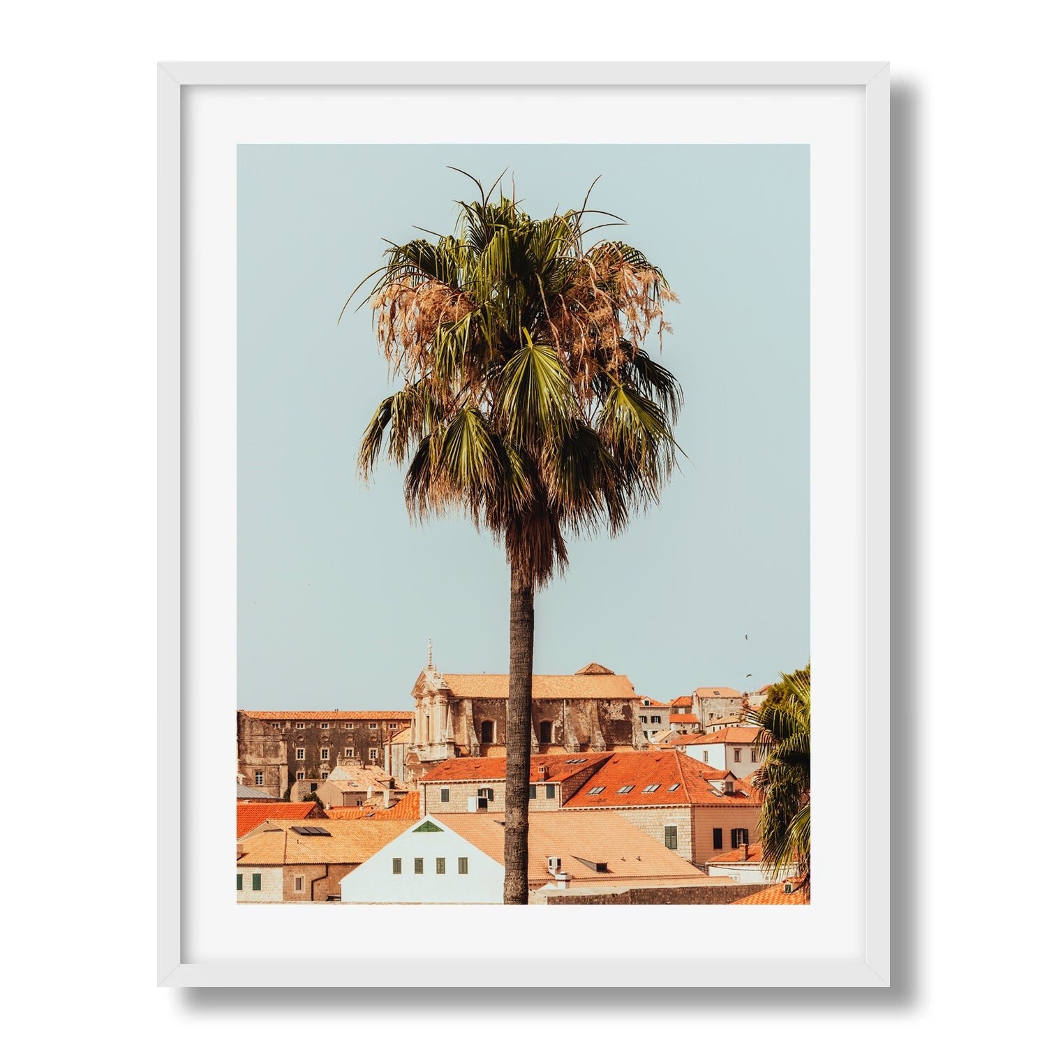A Palm Tree in Croatia - Peter Yan Studio Framed Photo Print Wall Art