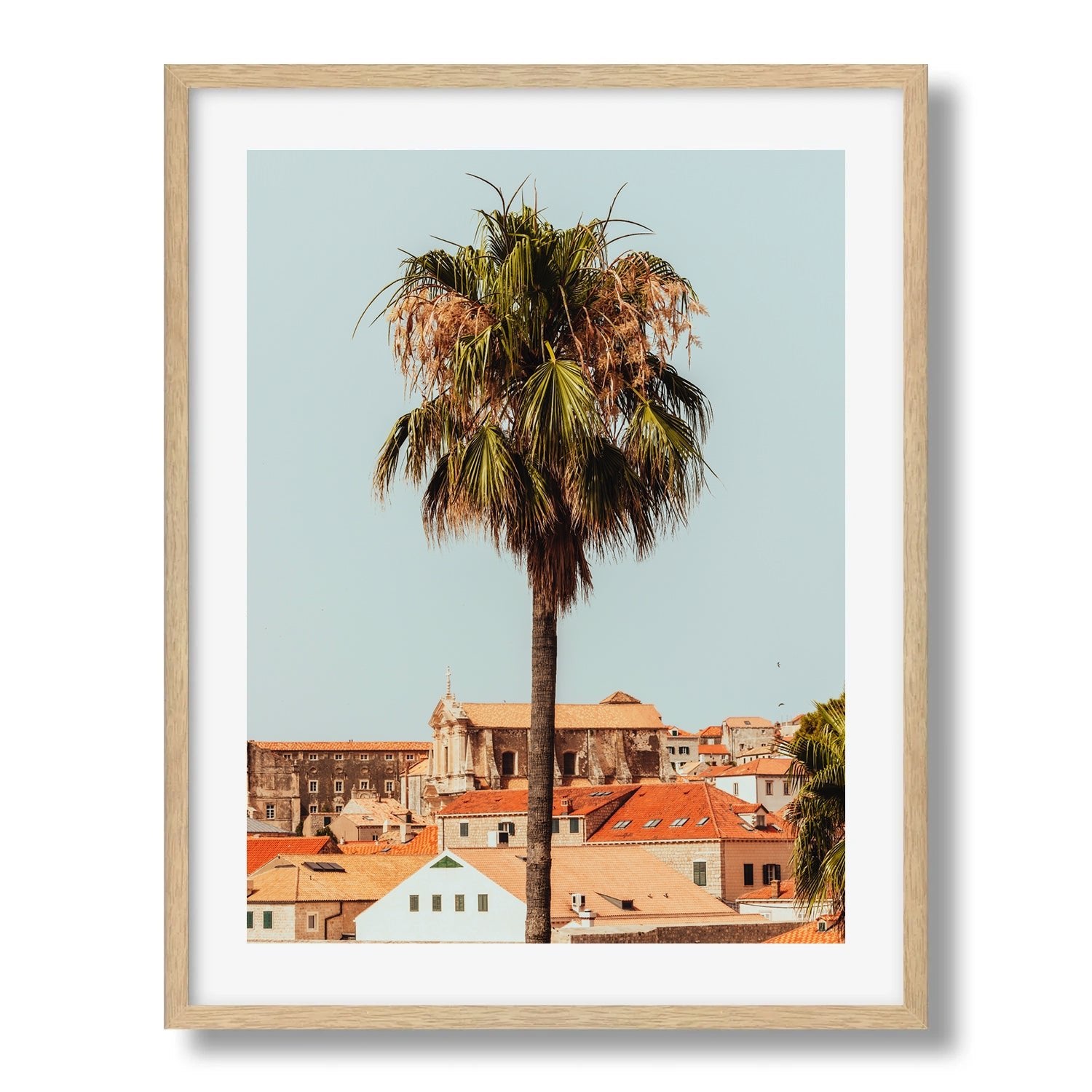 A Palm Tree in Croatia - Peter Yan Studio Framed Photo Print Wall Art