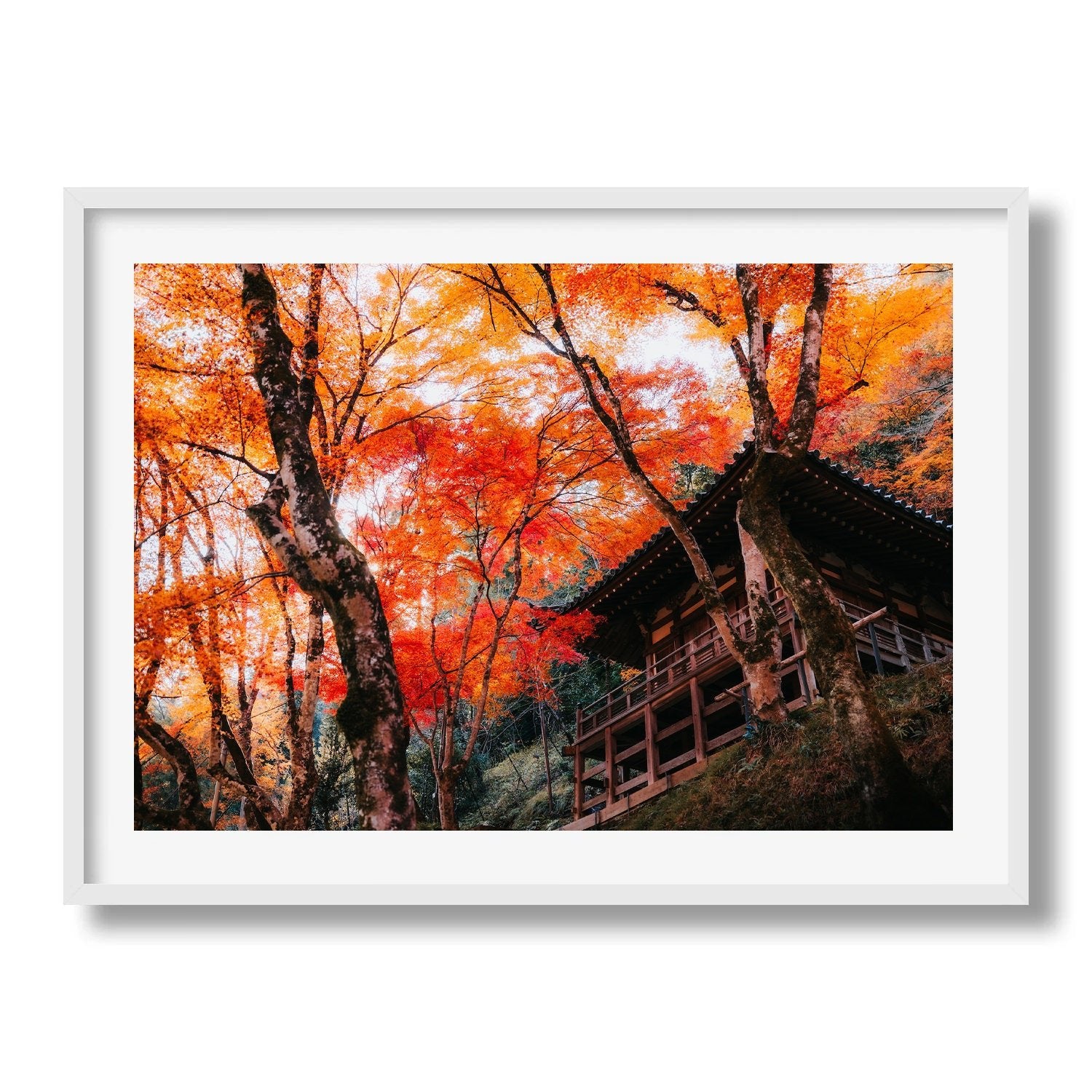 Autumn Glory at a Kyoto Temple I - Peter Yan Studio Framed Photo Print Wall Art