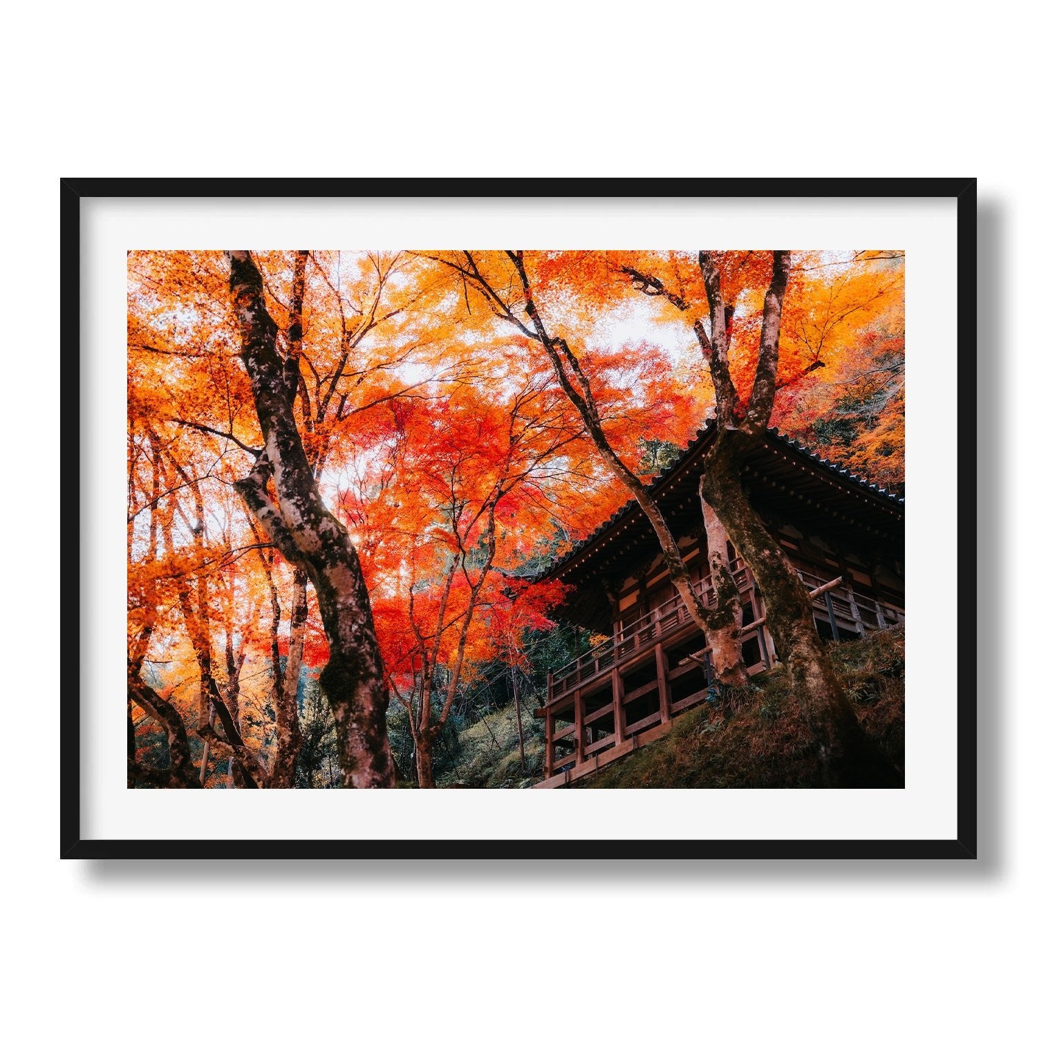 Autumn Glory at a Kyoto Temple I - Peter Yan Studio Framed Photo Print Wall Art