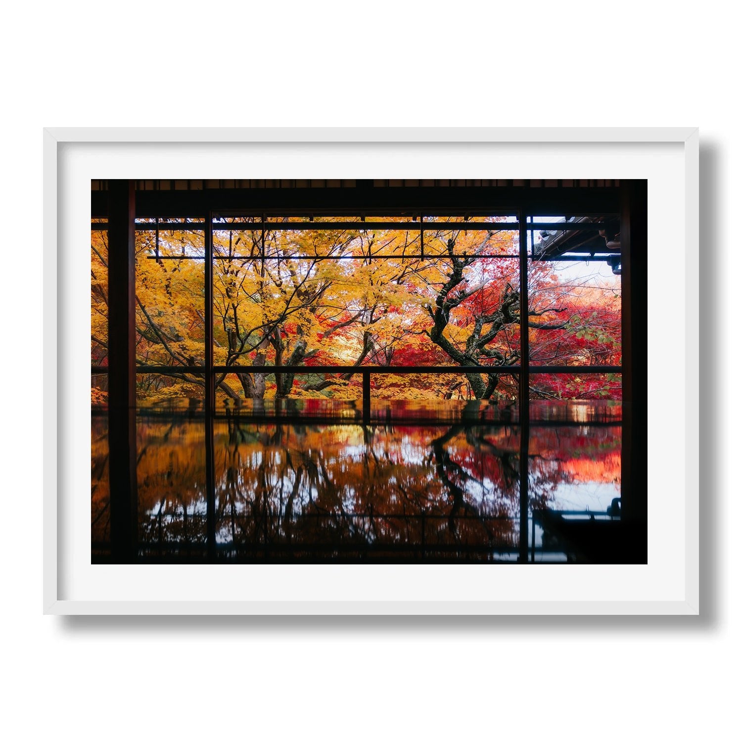 Autumn's Gold: A Japanese Garden Scene II - Peter Yan Studio Framed Photo Print Wall Art