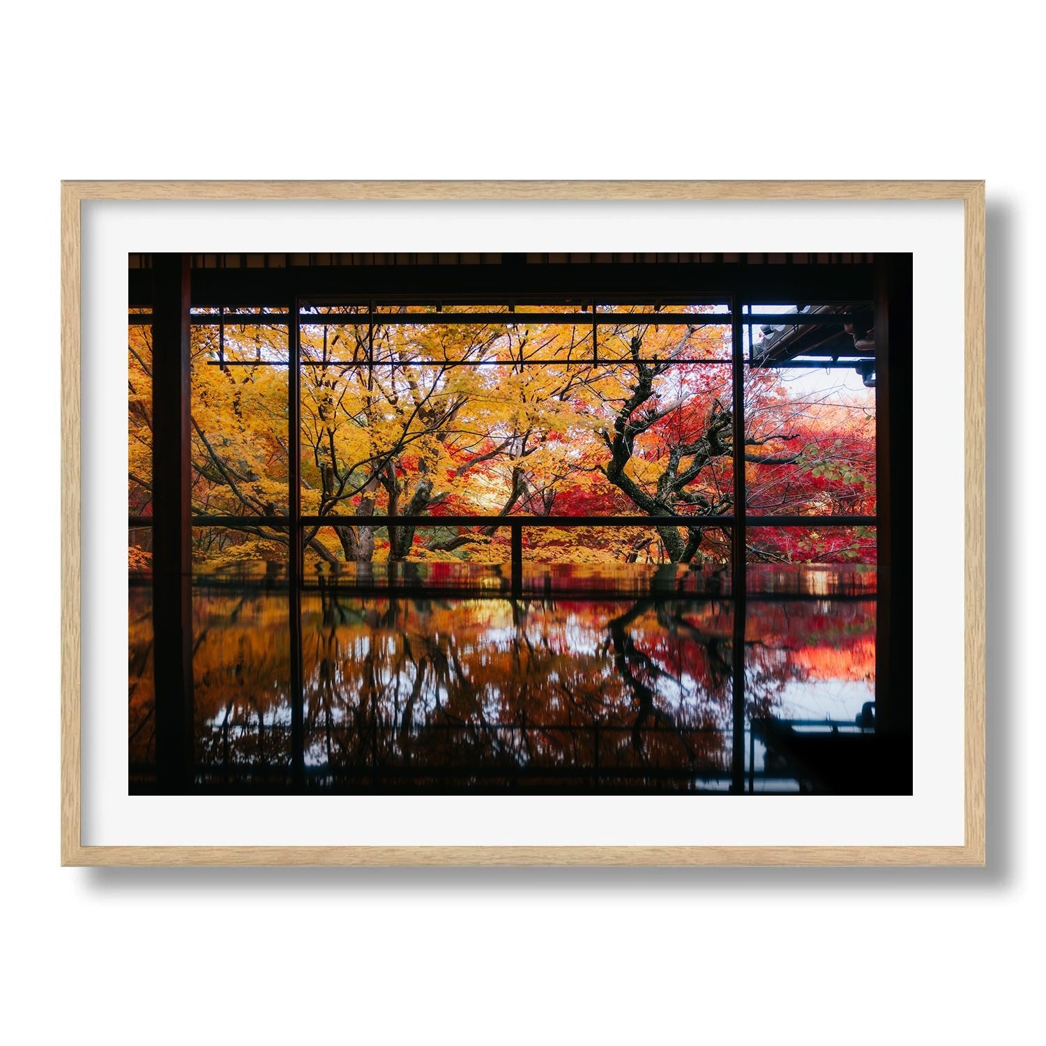 Autumn's Gold: A Japanese Garden Scene II - Peter Yan Studio Framed Photo Print Wall Art