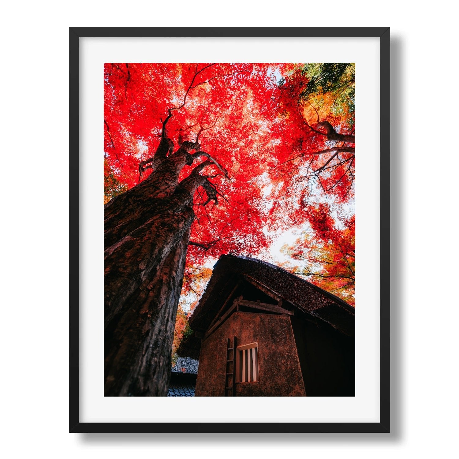 Autumn’s Red Glow in a Japanese Garden II - Peter Yan Studio Framed Photo Print Wall Art