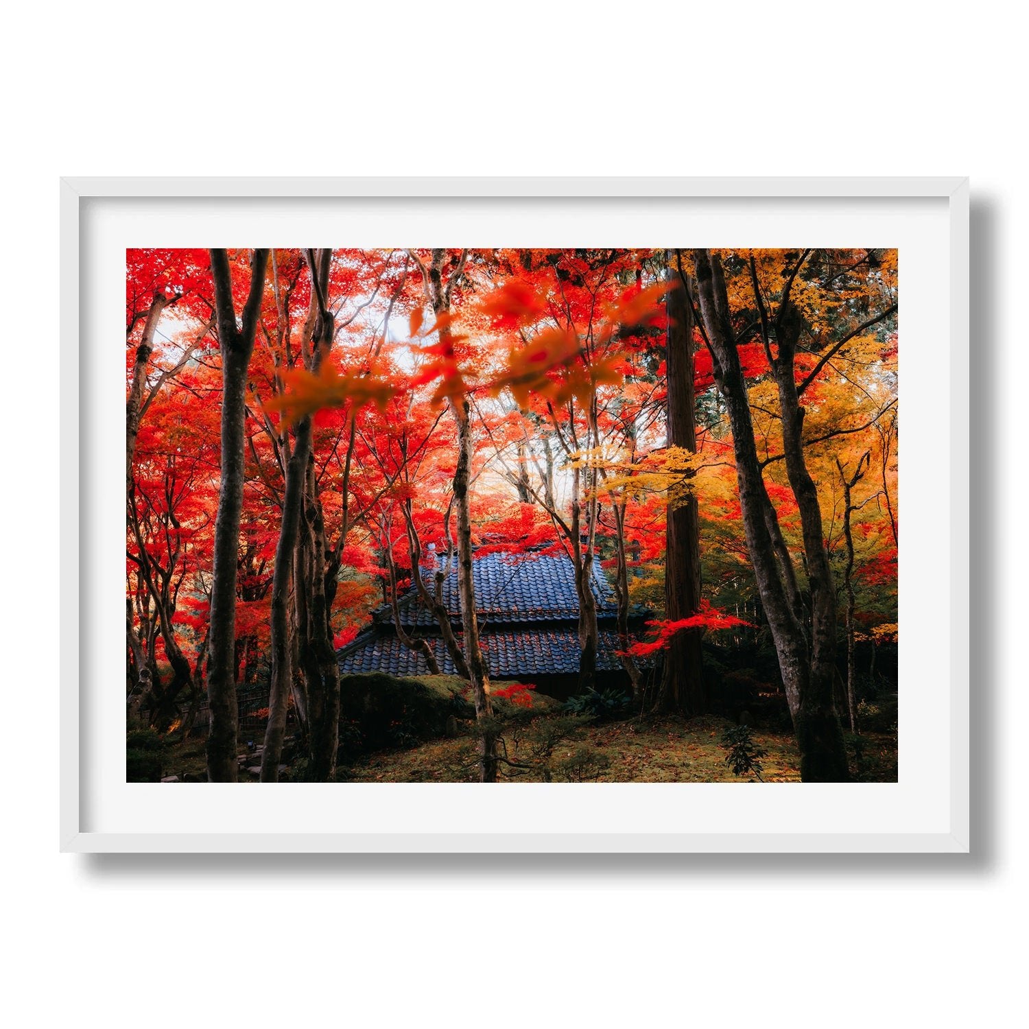 Autumn’s Red Glow in a Japanese Garden III - Peter Yan Studio Framed Photo Print Wall Art