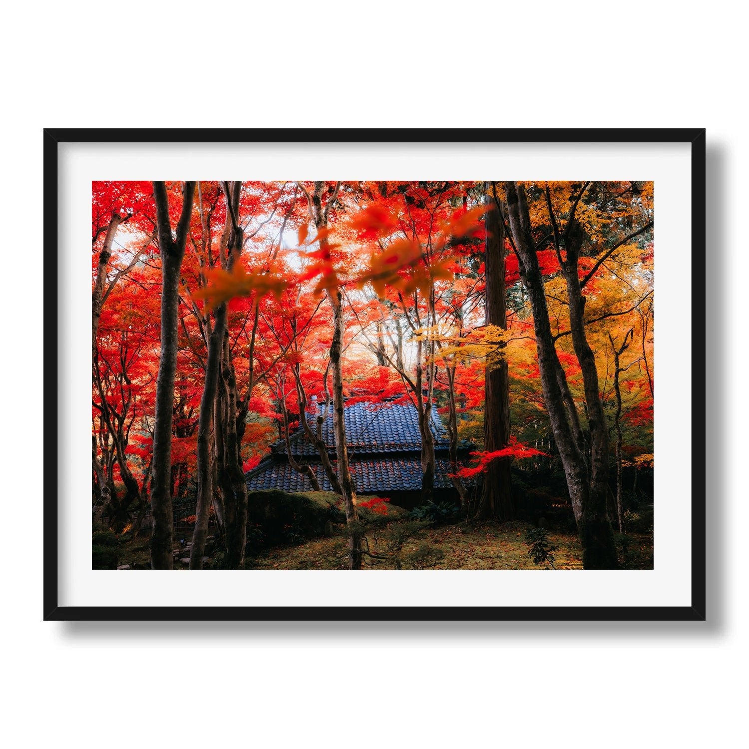 Autumn’s Red Glow in a Japanese Garden III - Peter Yan Studio Framed Photo Print Wall Art
