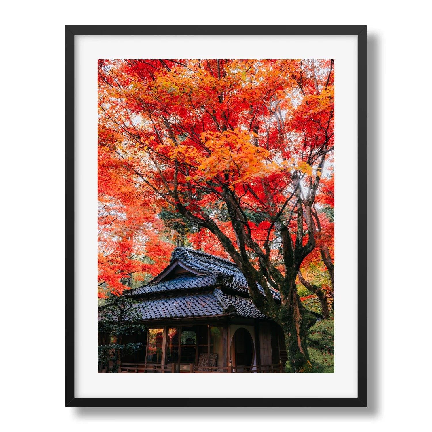 Autumn’s Red Glow in a Japanese Garden V - Peter Yan Studio Framed Photo Print Wall Art