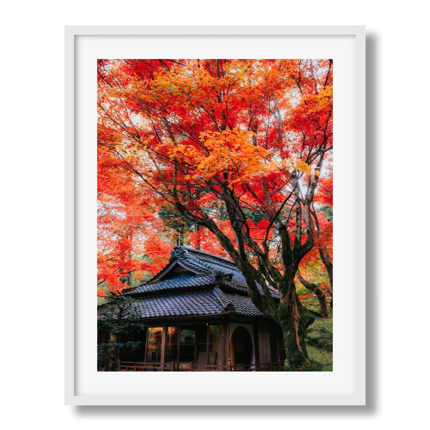 Autumn’s Red Glow in a Japanese Garden V - Peter Yan Studio Framed Photo Print Wall Art