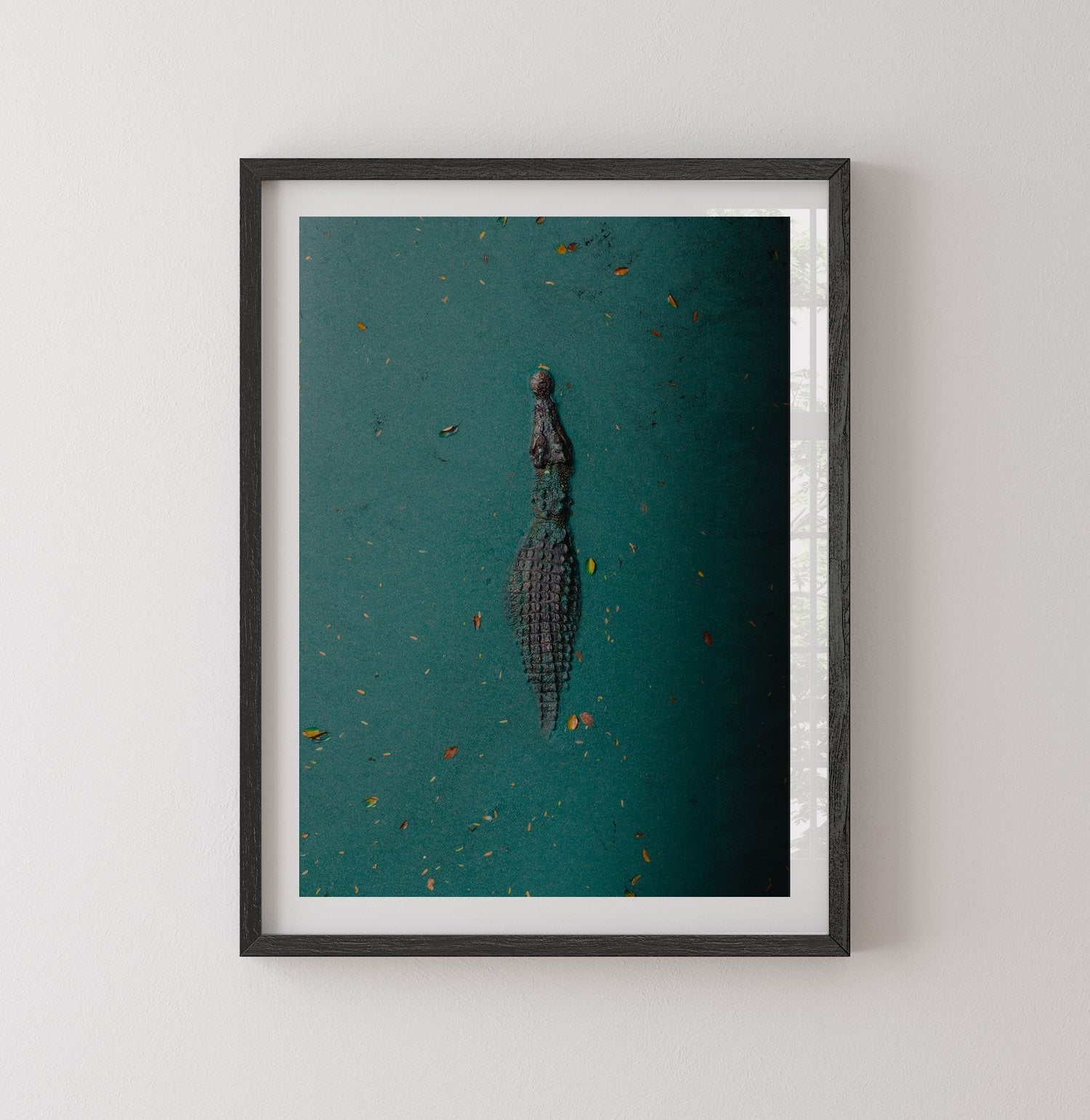 Broome Crocodile: Emerald Waters - Peter Yan Studio Framed Photo Print Wall Art