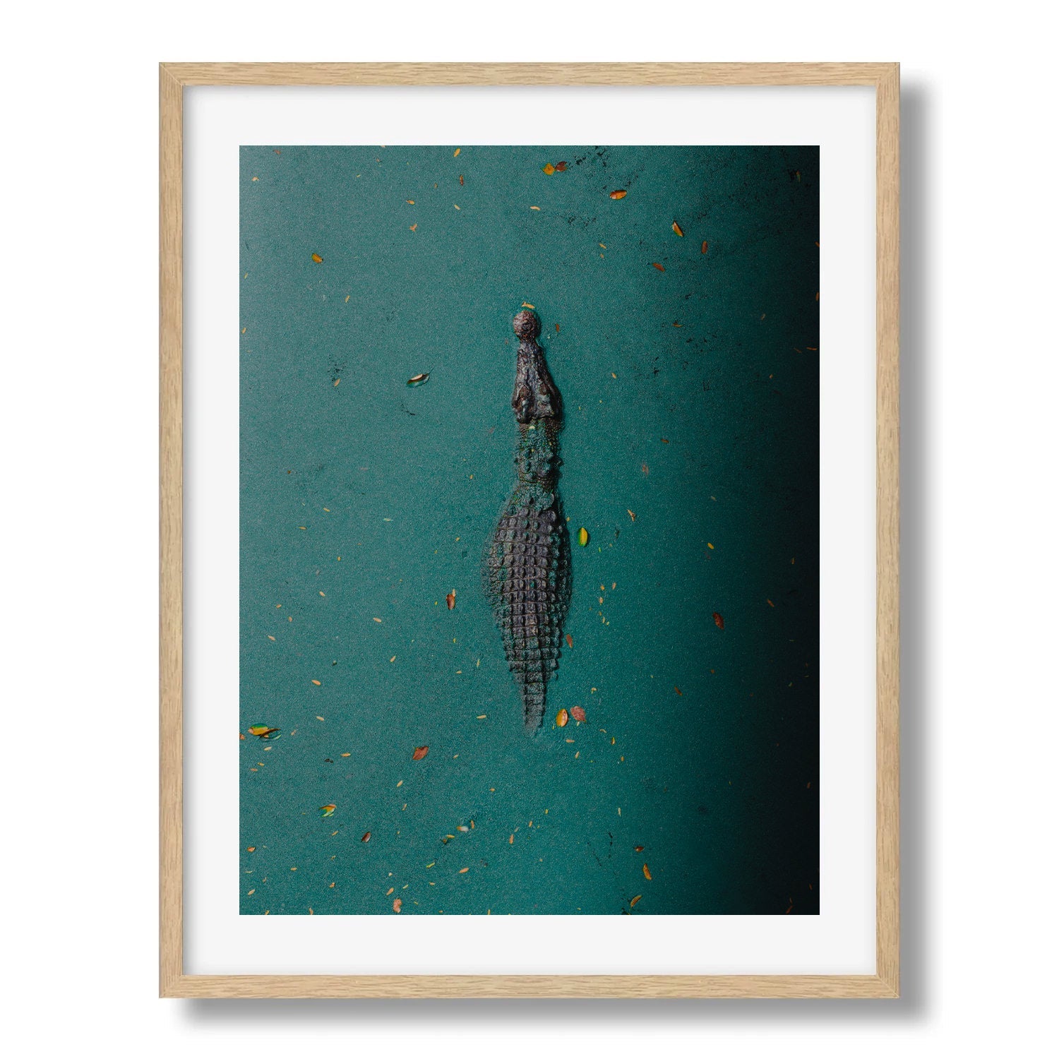 Broome Crocodile: Emerald Waters - Peter Yan Studio Framed Photo Print Wall Art