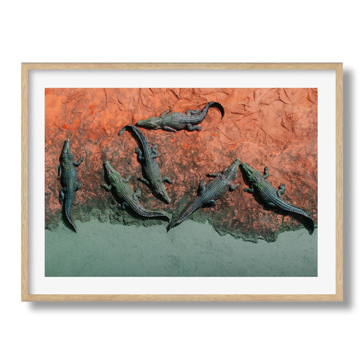 Crocodiles of Broome: Red Earth Framed Print - Aerial by Peter Yan Studio