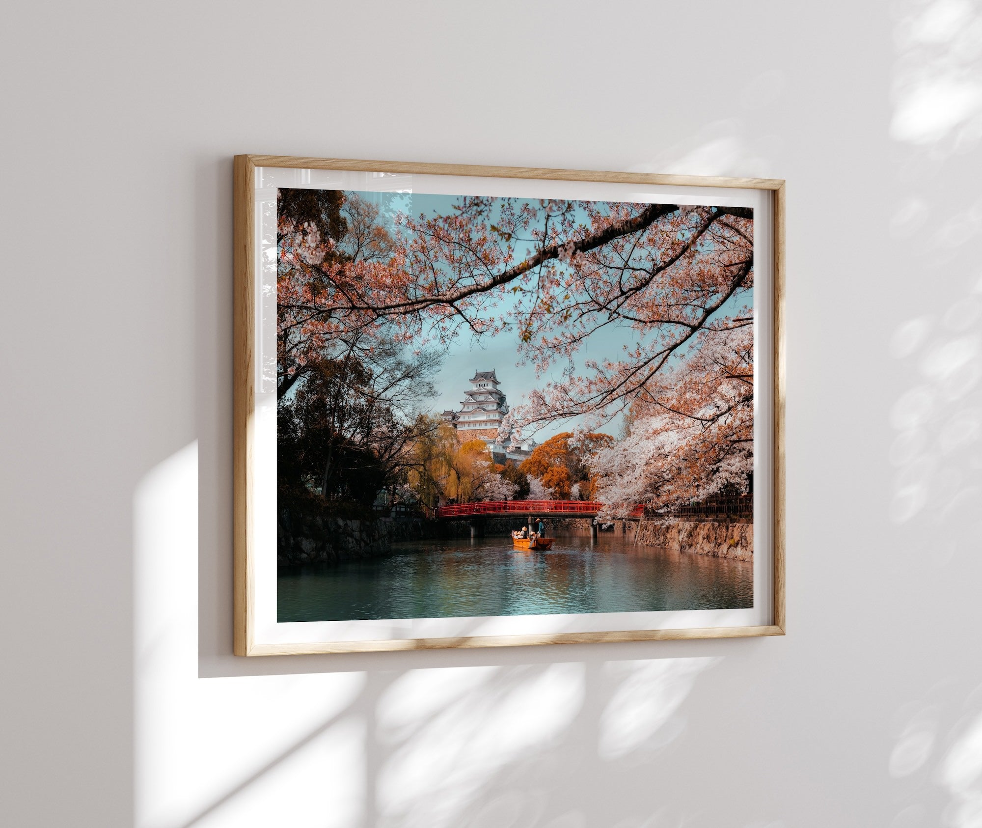 Himeji Castle Sakura - Peter Yan Studio