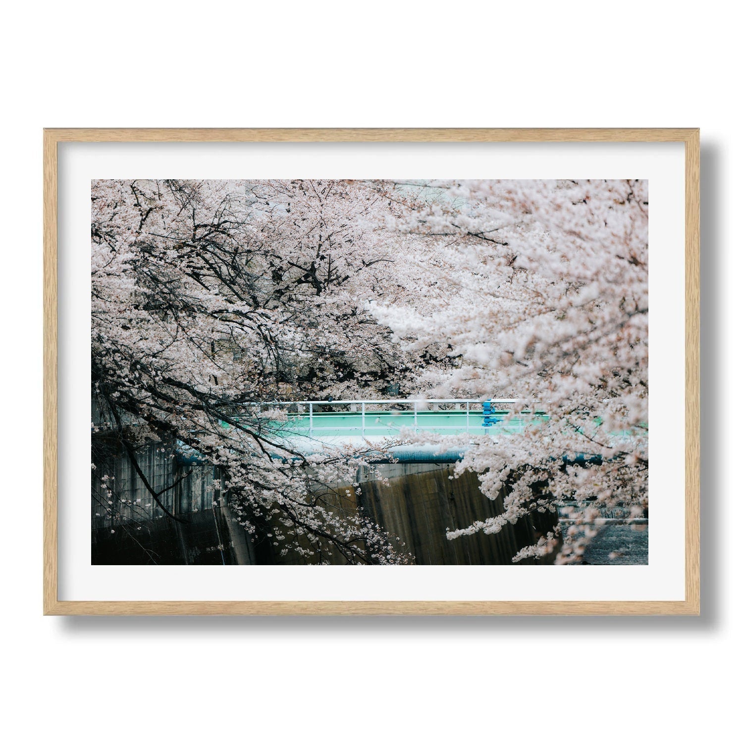 Kanda River Sakura Framed Print - City by Peter Yan Studio