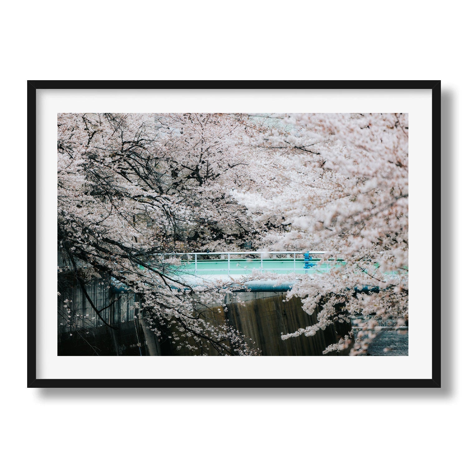 Kanda River Sakura Framed Print - City by Peter Yan Studio