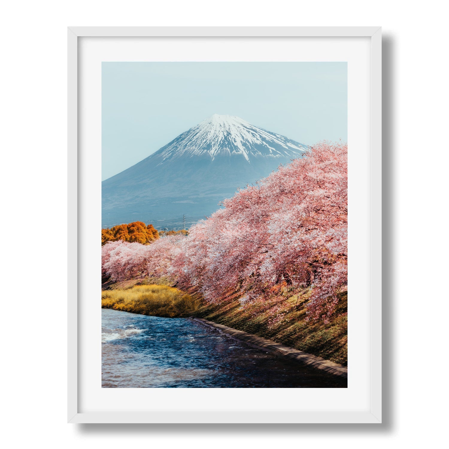 Mt Fuji Sakura II - Peter Yan Studio Framed Photo Print Wall Art