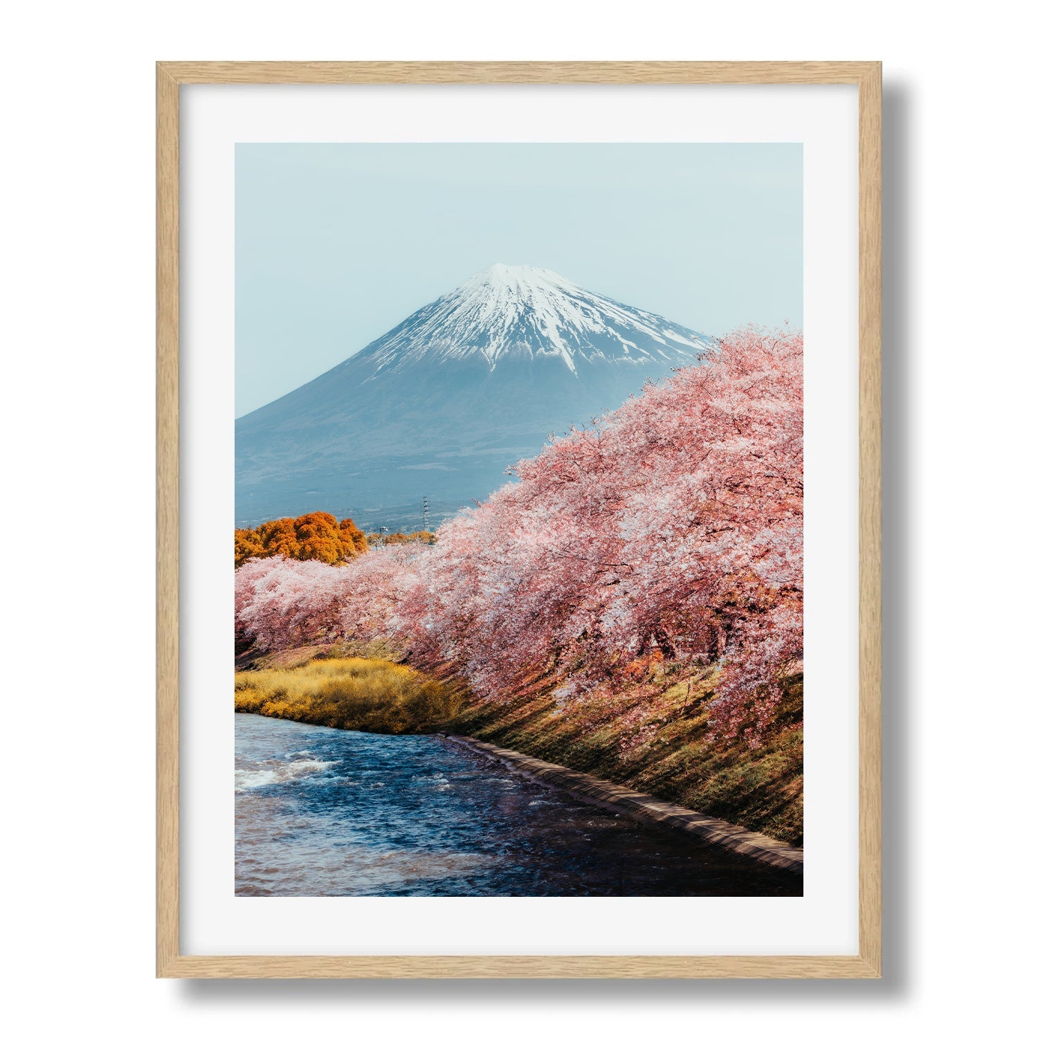 Mt Fuji Sakura II - Peter Yan Studio Framed Photo Print Wall Art