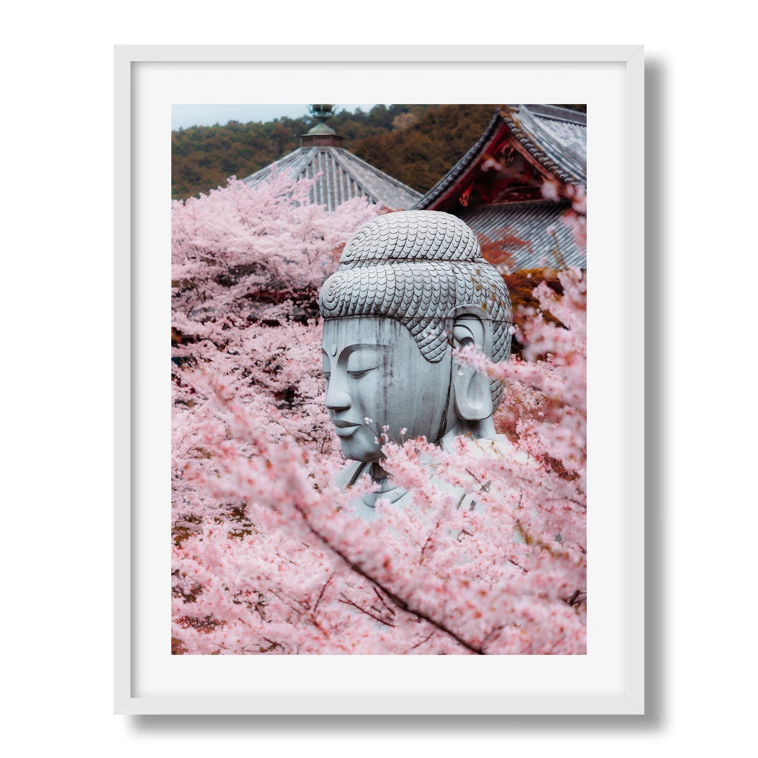 Tsubosaka - dera Temple Sakura II Framed Print - Architecture by Peter Yan Studio