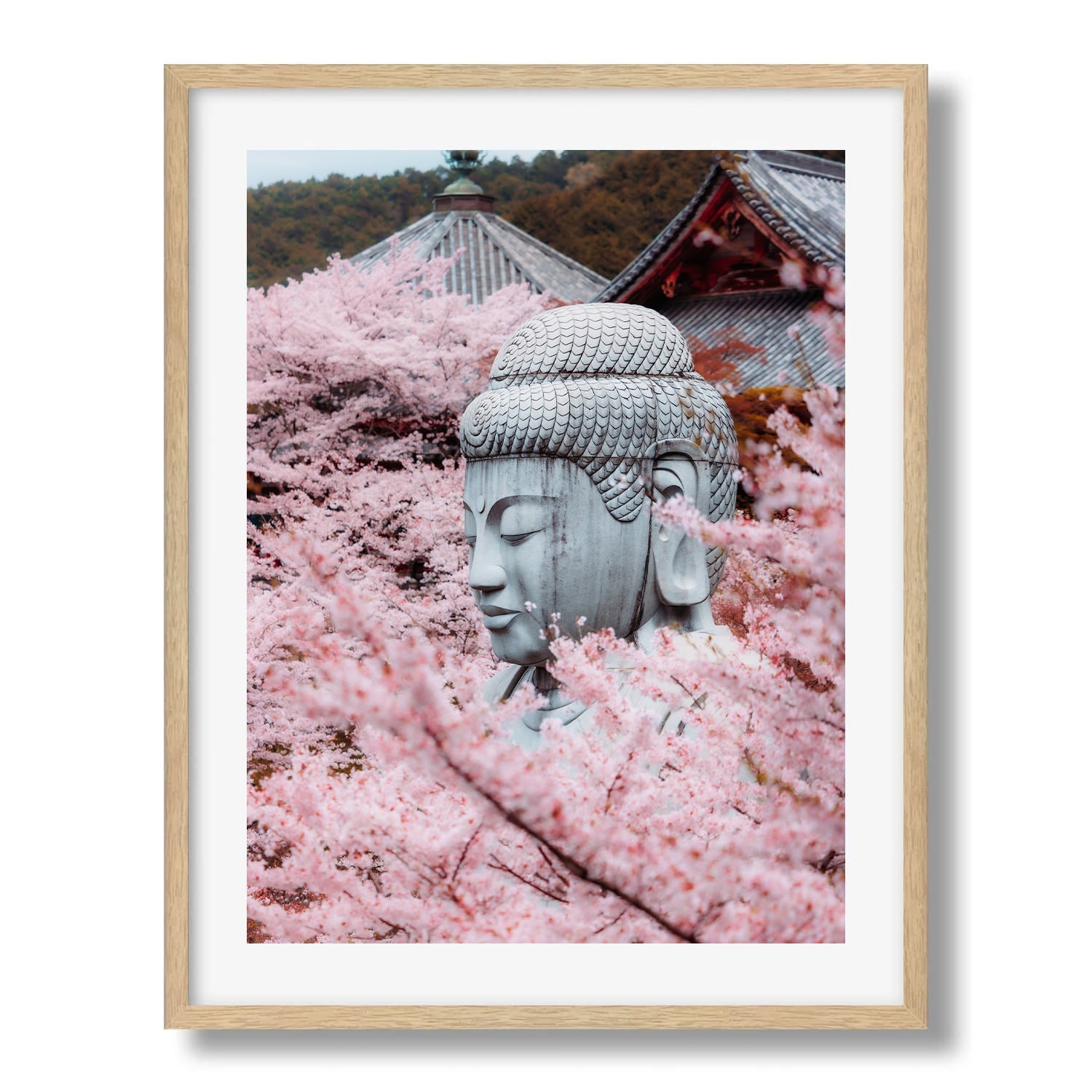 Tsubosaka - dera Temple Sakura II Framed Print - Architecture by Peter Yan Studio