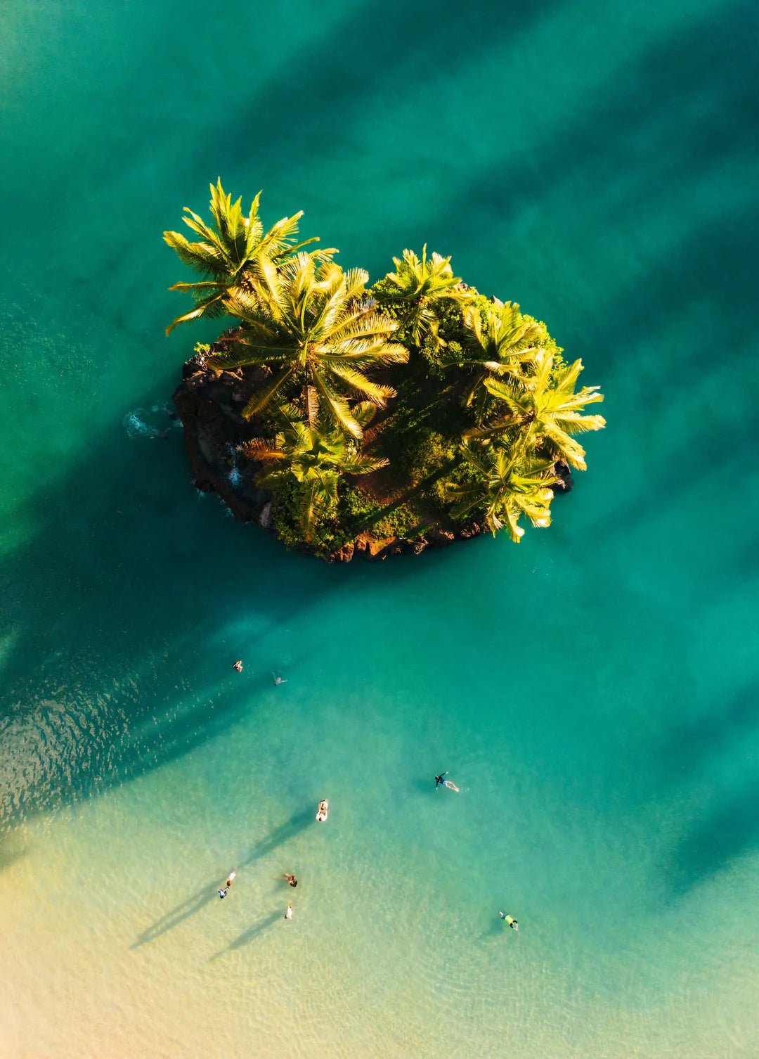 A Little Island in Hawaii - Peter Yan Studio