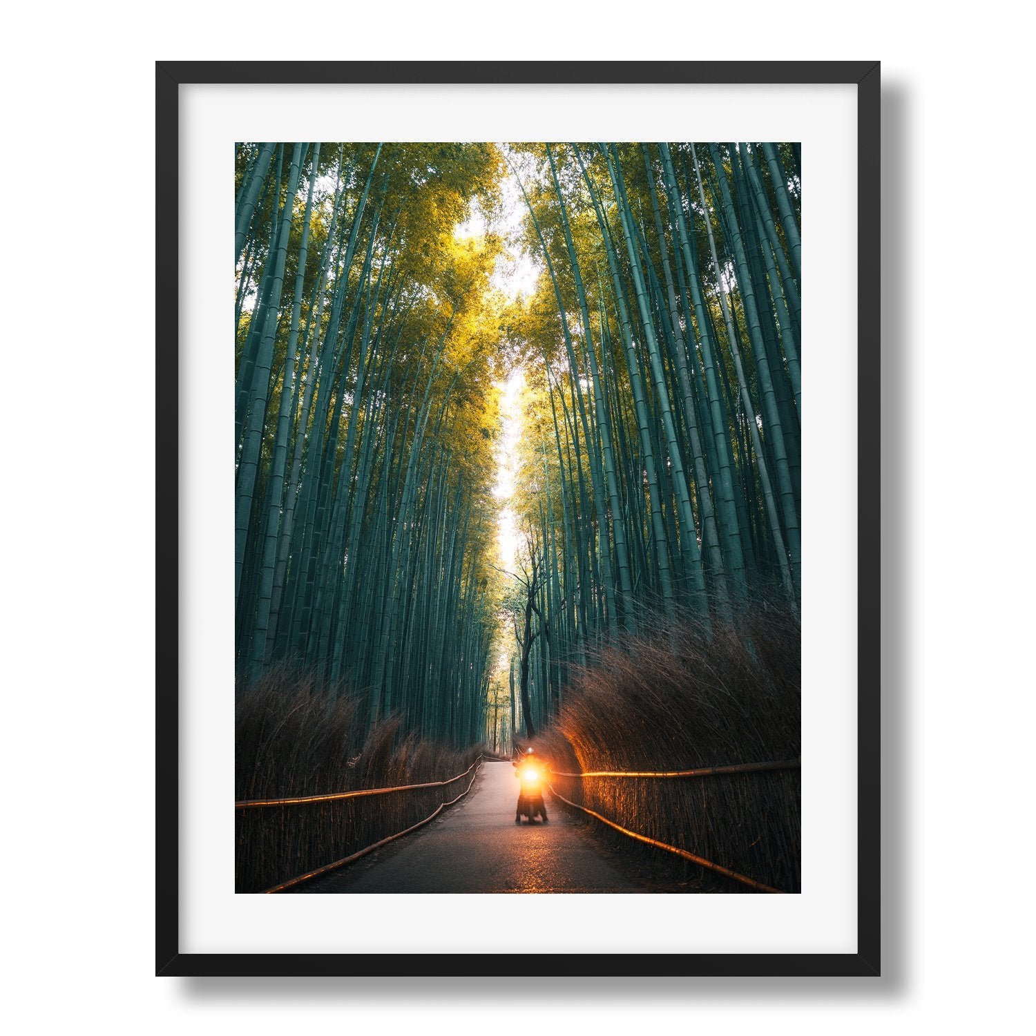 Arashiyama Bamboo Grove, Kyoto Japan | Premium Framed Print - Peter Yan Studio