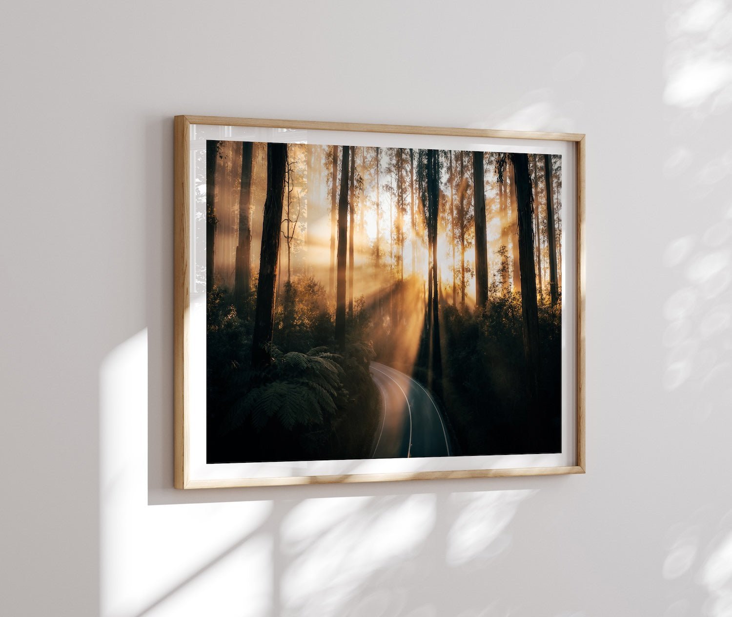 Black Spur Drive Forest Sun Ray - Peter Yan Studio Framed Photo Print Wall Art