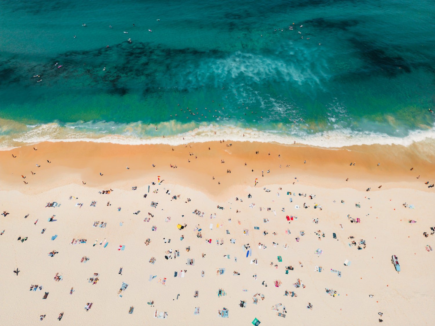 Bondi Beach Summer Day II - Peter Yan Studio