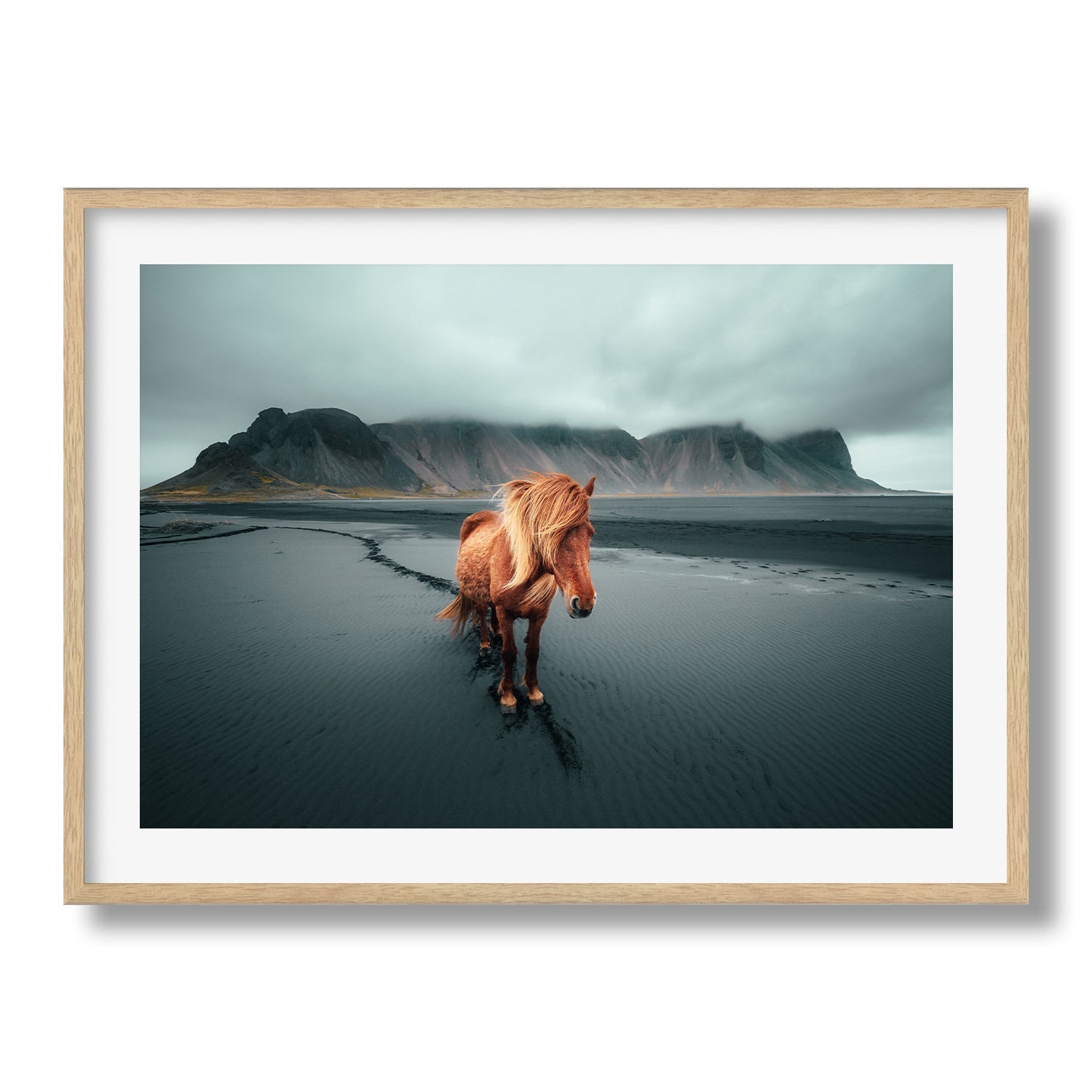 Icelandic Horse II - Peter Yan Studio